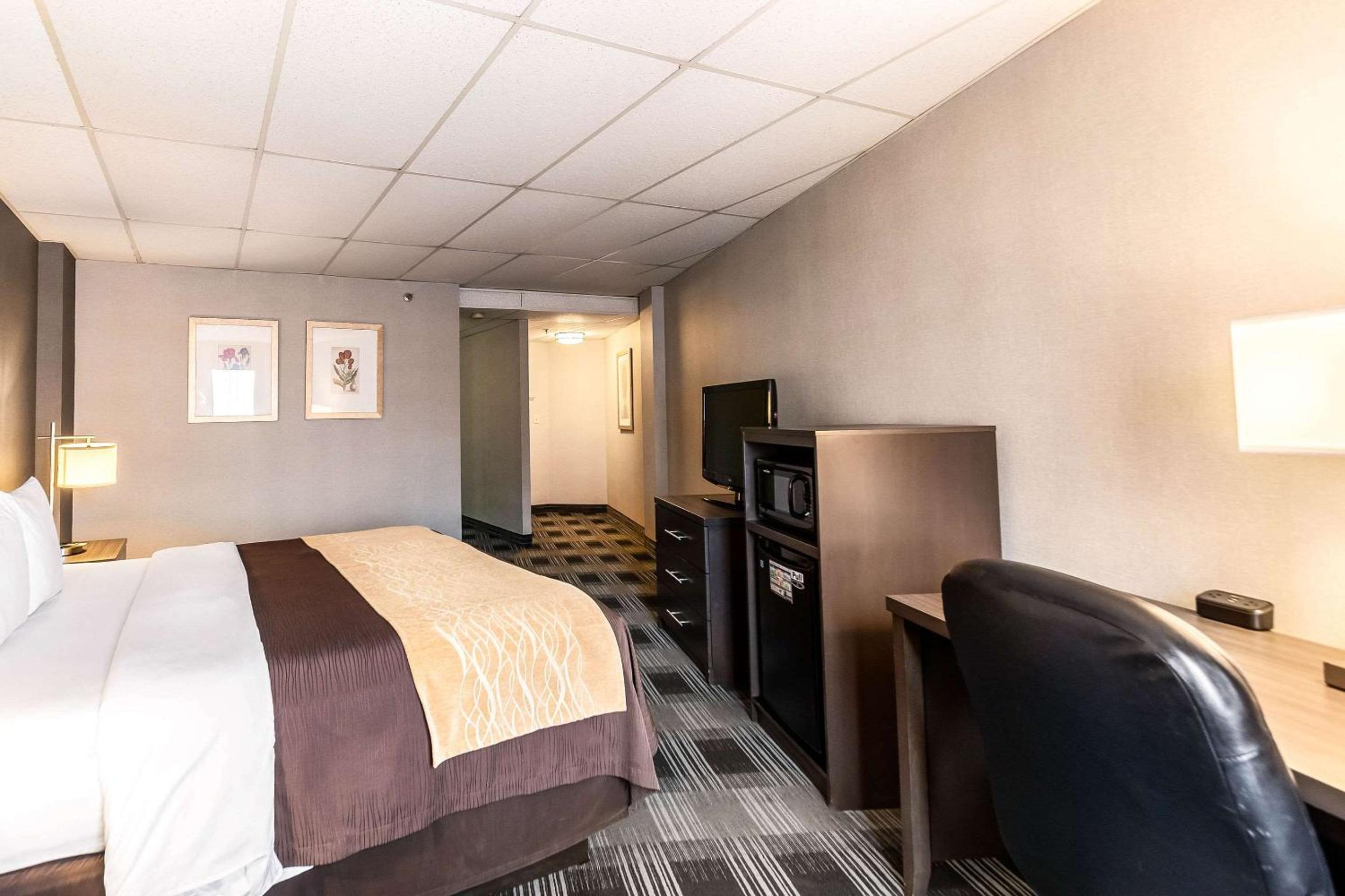 Standard Room with One King Bed - Courtyard View - Photo 6