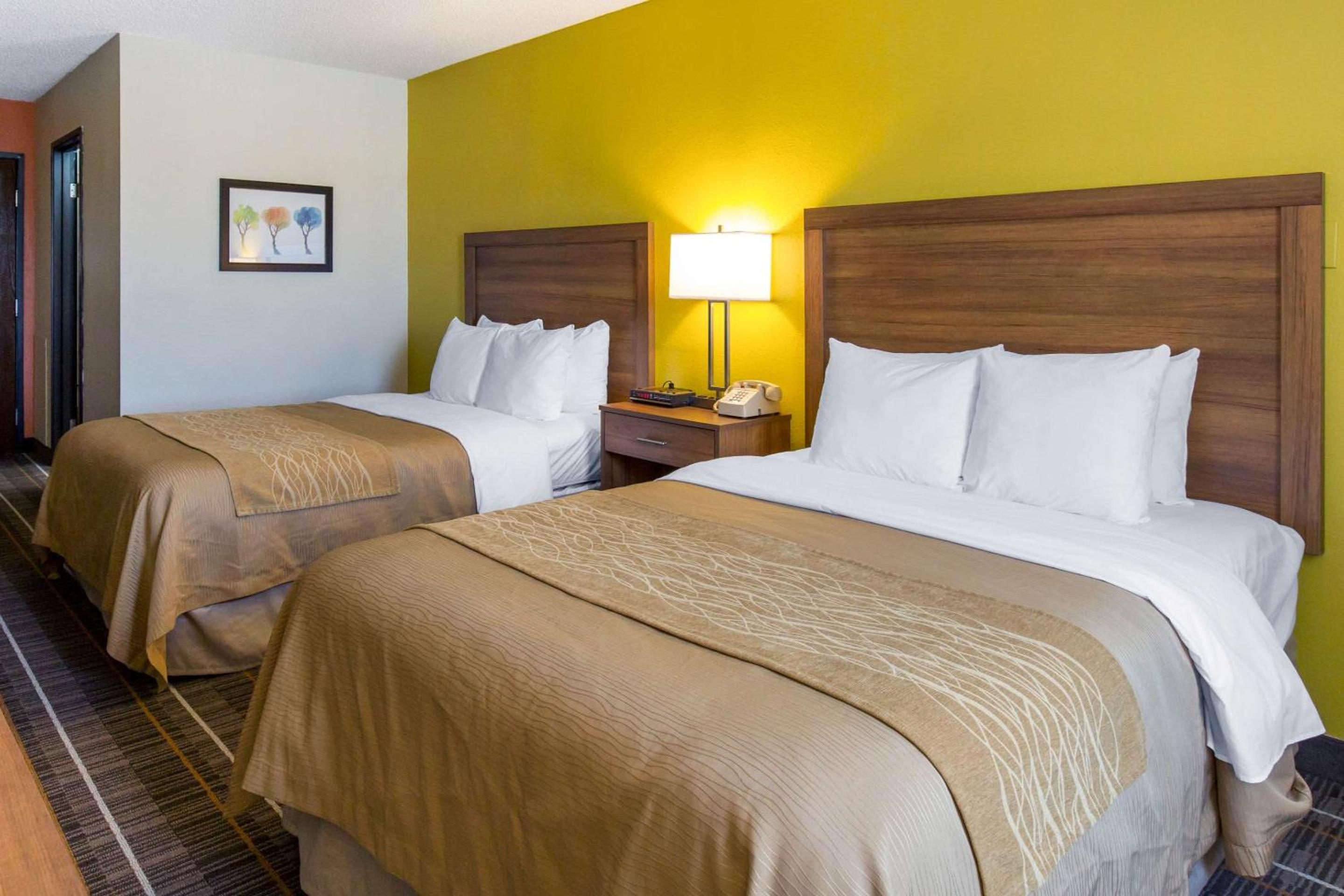 Queen Room with Two Queen Beds - Non-Smoking photo 1