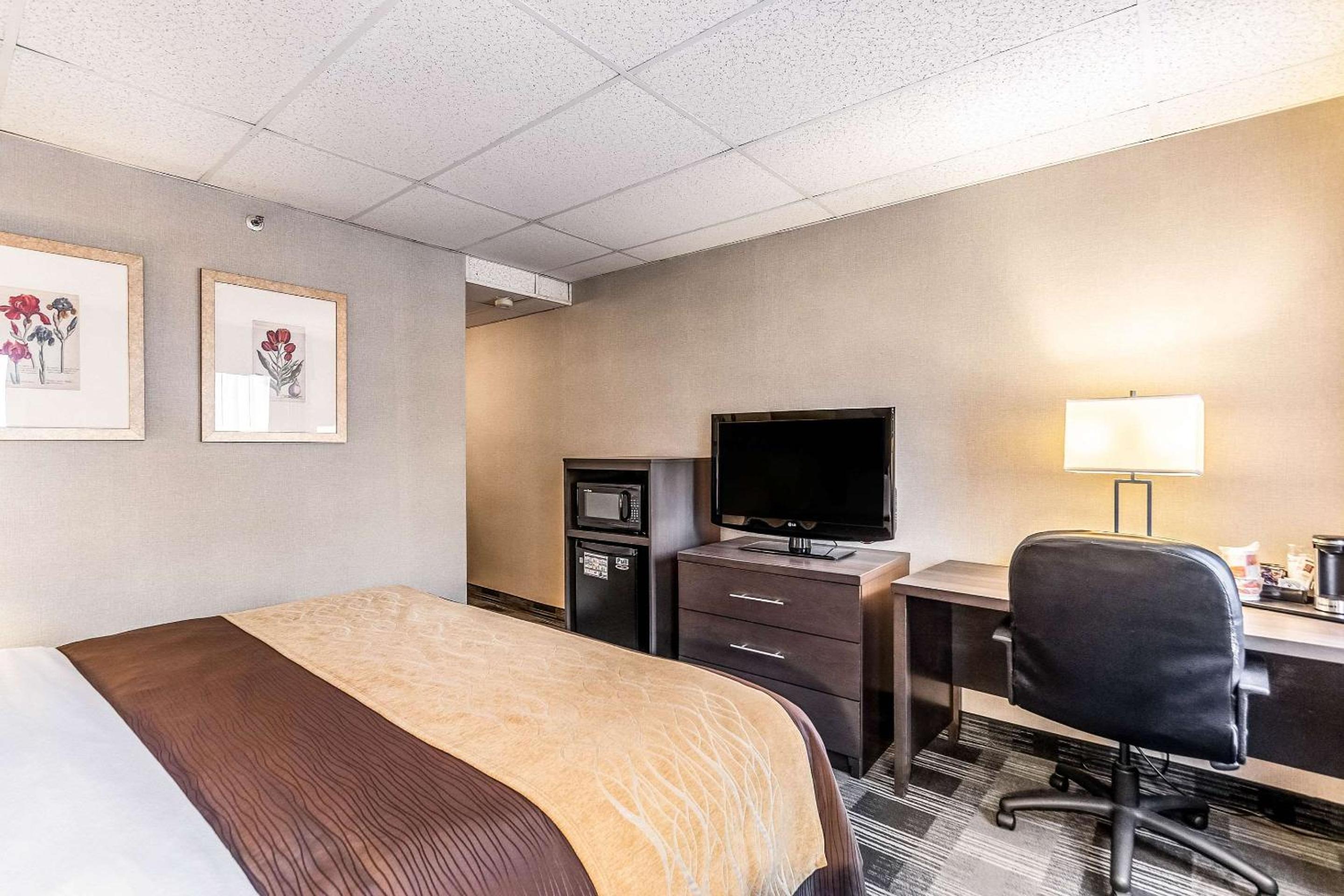 Standard Room with One King Bed - Courtyard View - Photo 8