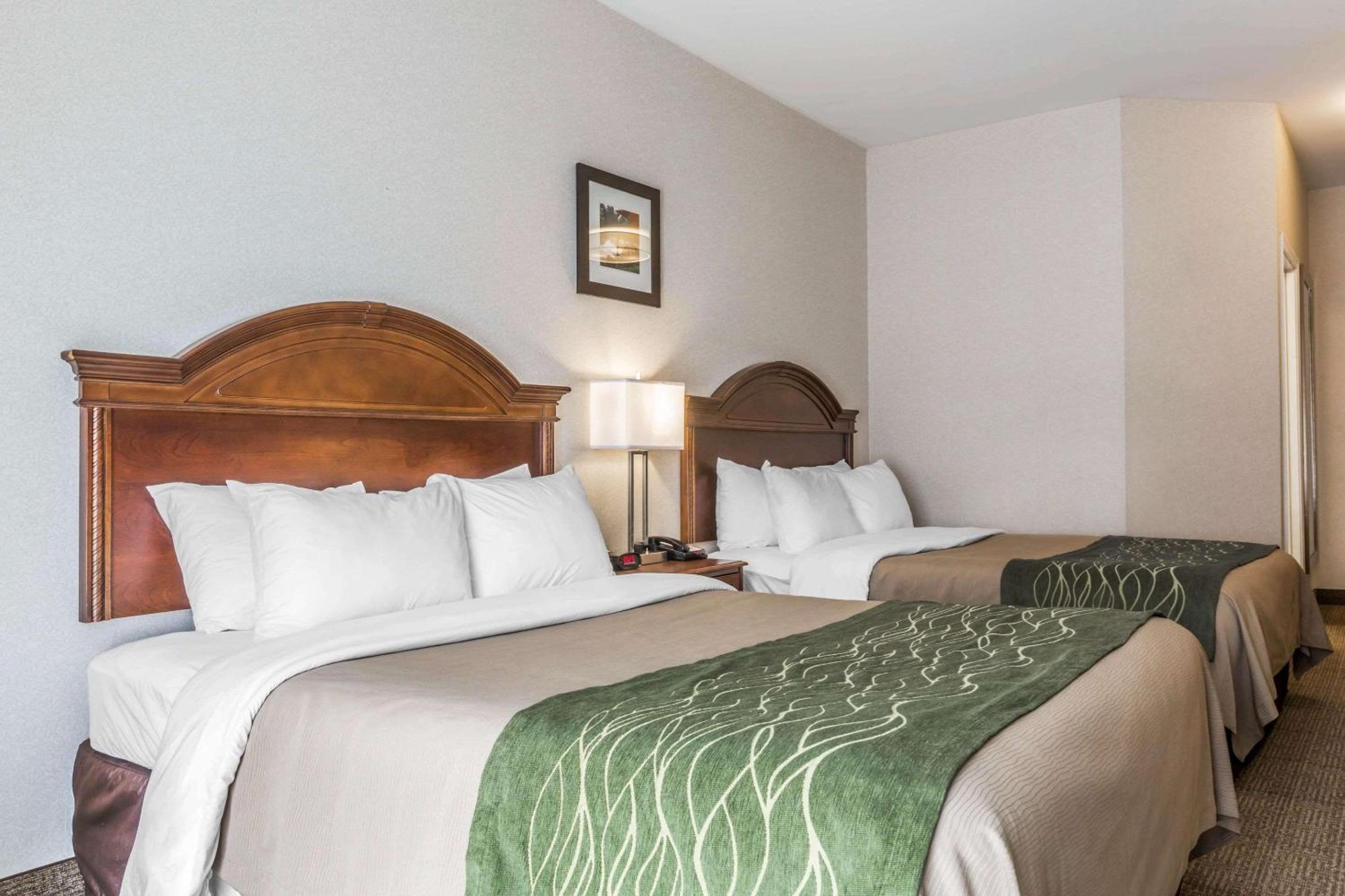 Queen Room with Two Queen Beds - Accessible/Non-Smoking  - Photo 2