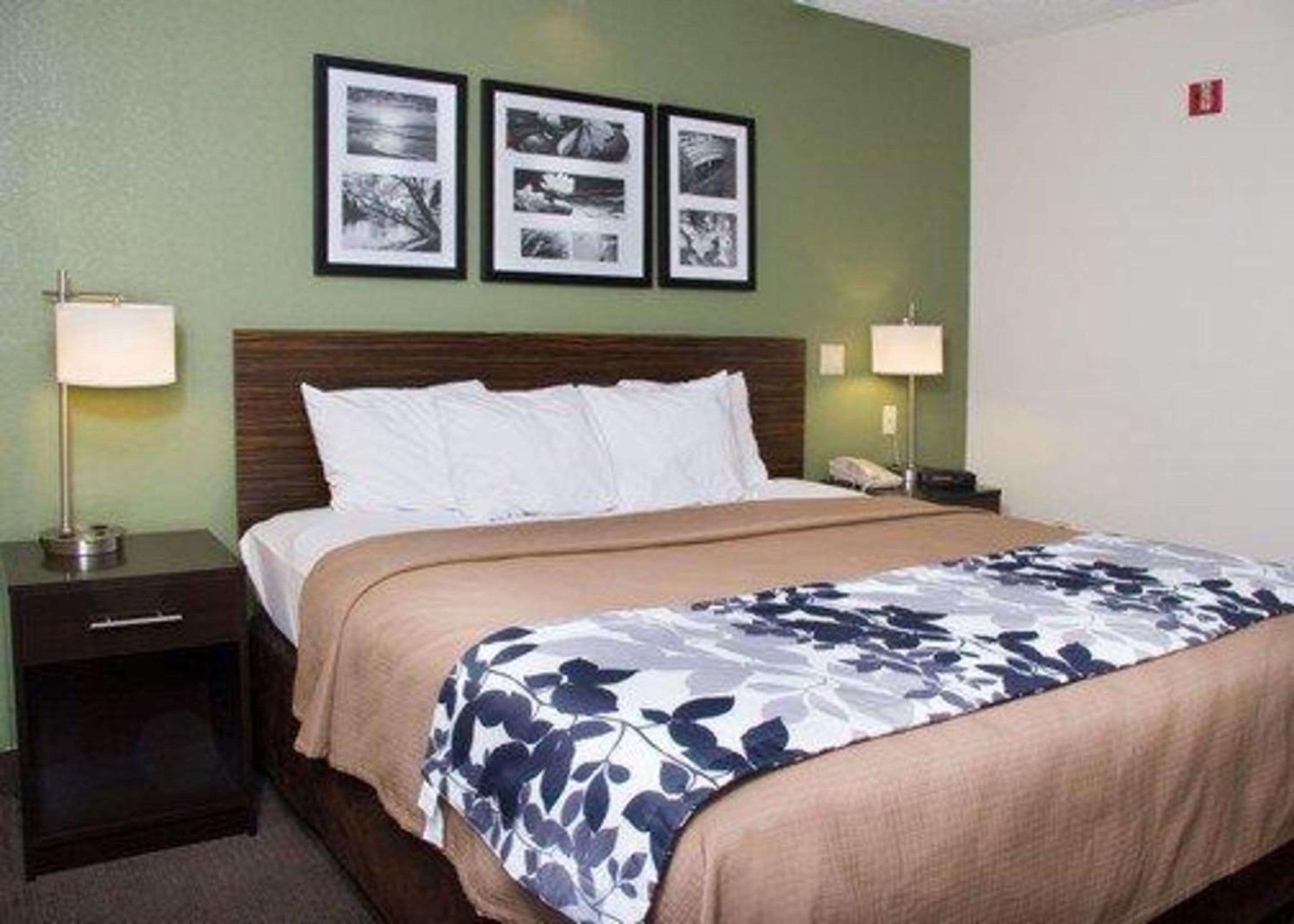 King Room - Non-Smoking - Photo 1