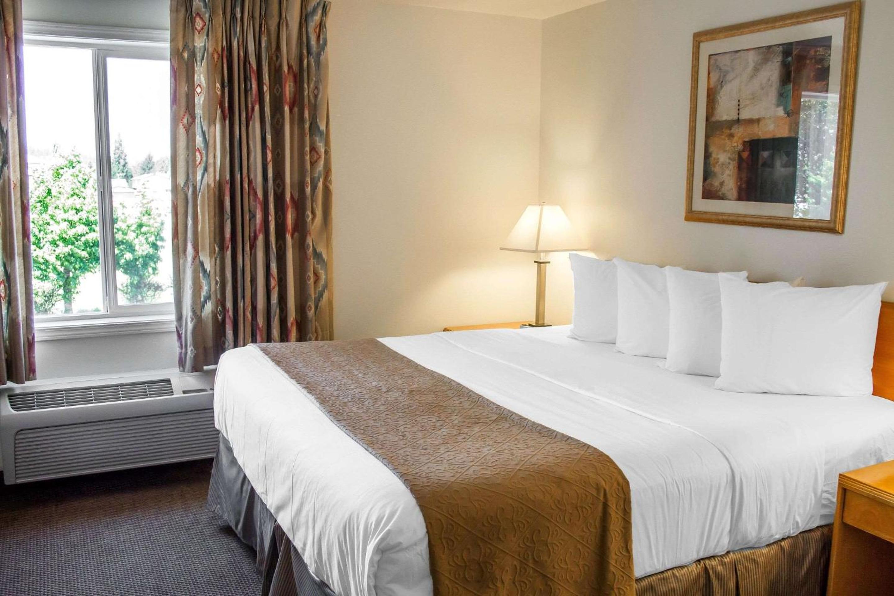King Room - Non-Smoking - Photo 4
