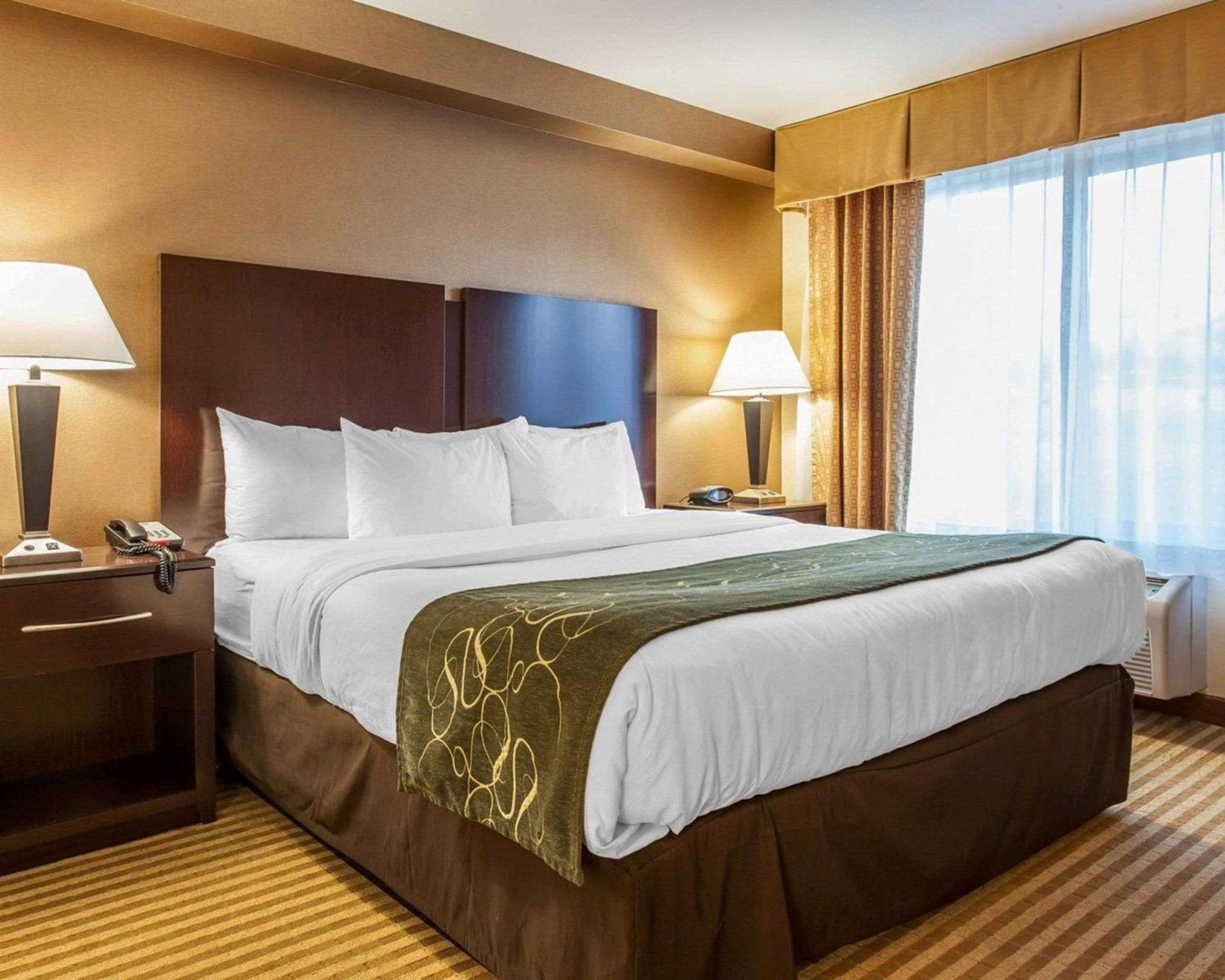 King Suite - Photo 5