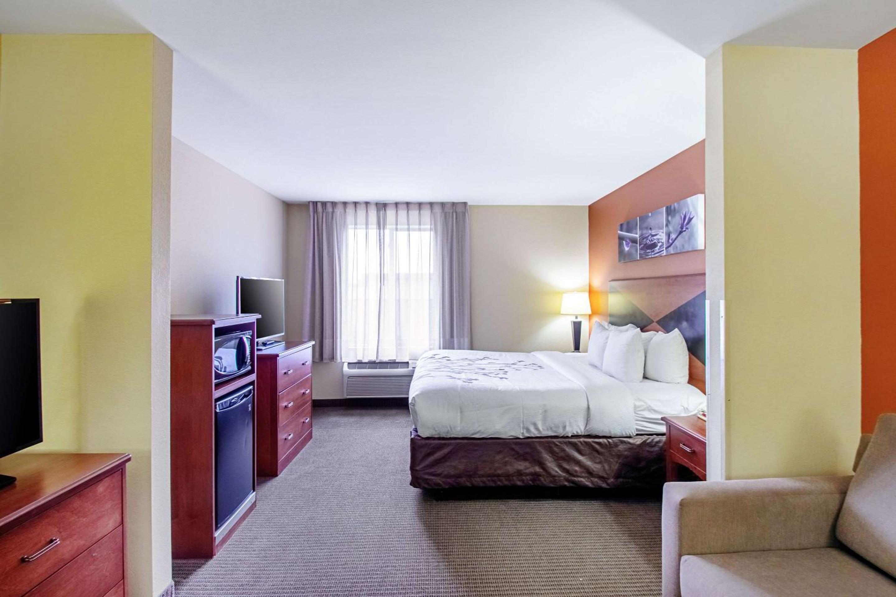 Suite - Photo 2