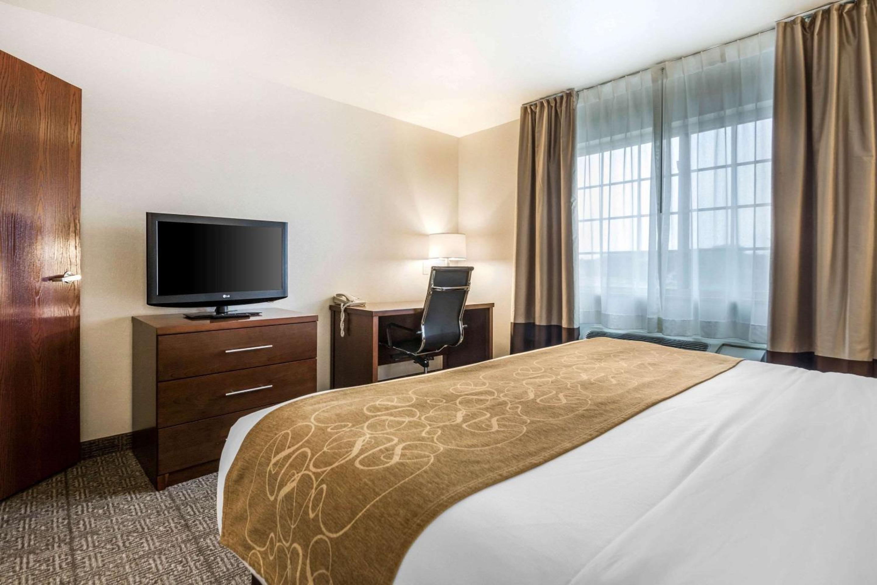 King Suite with Sofa Bed - Photo 1