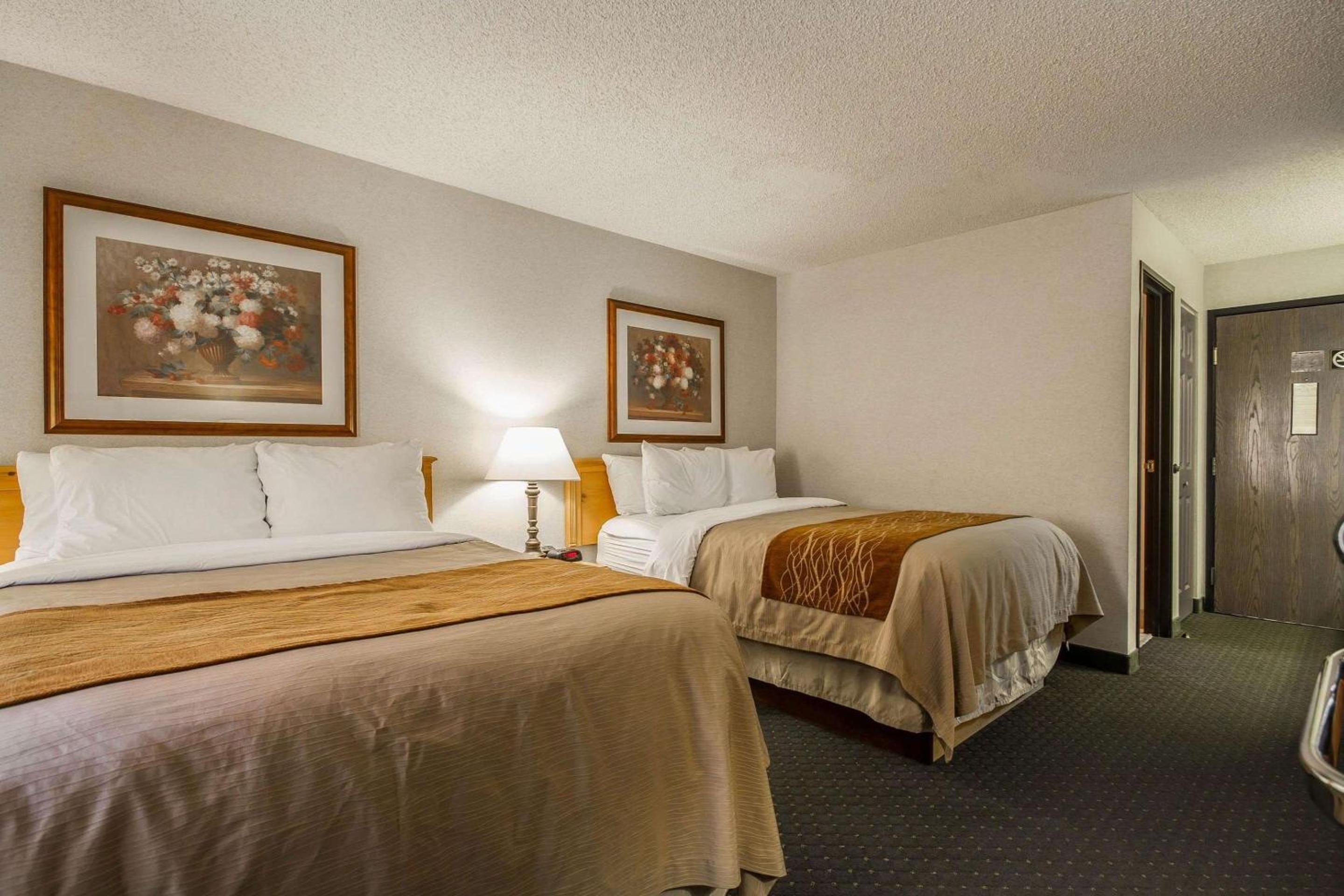 Double Room with Two Double Beds - Non-Smoking - Photo 2