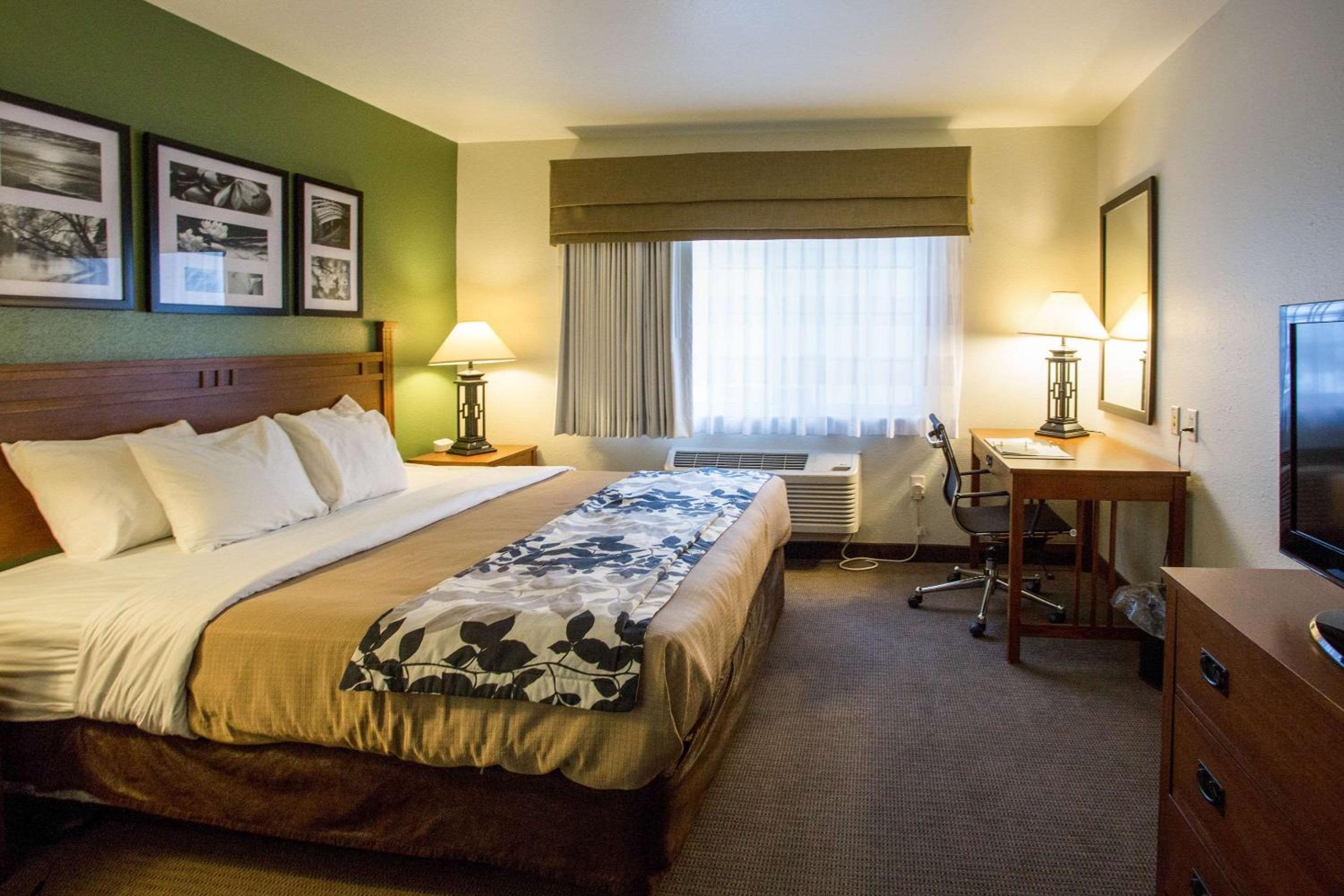 King Suite - Non-Smoking photo 2