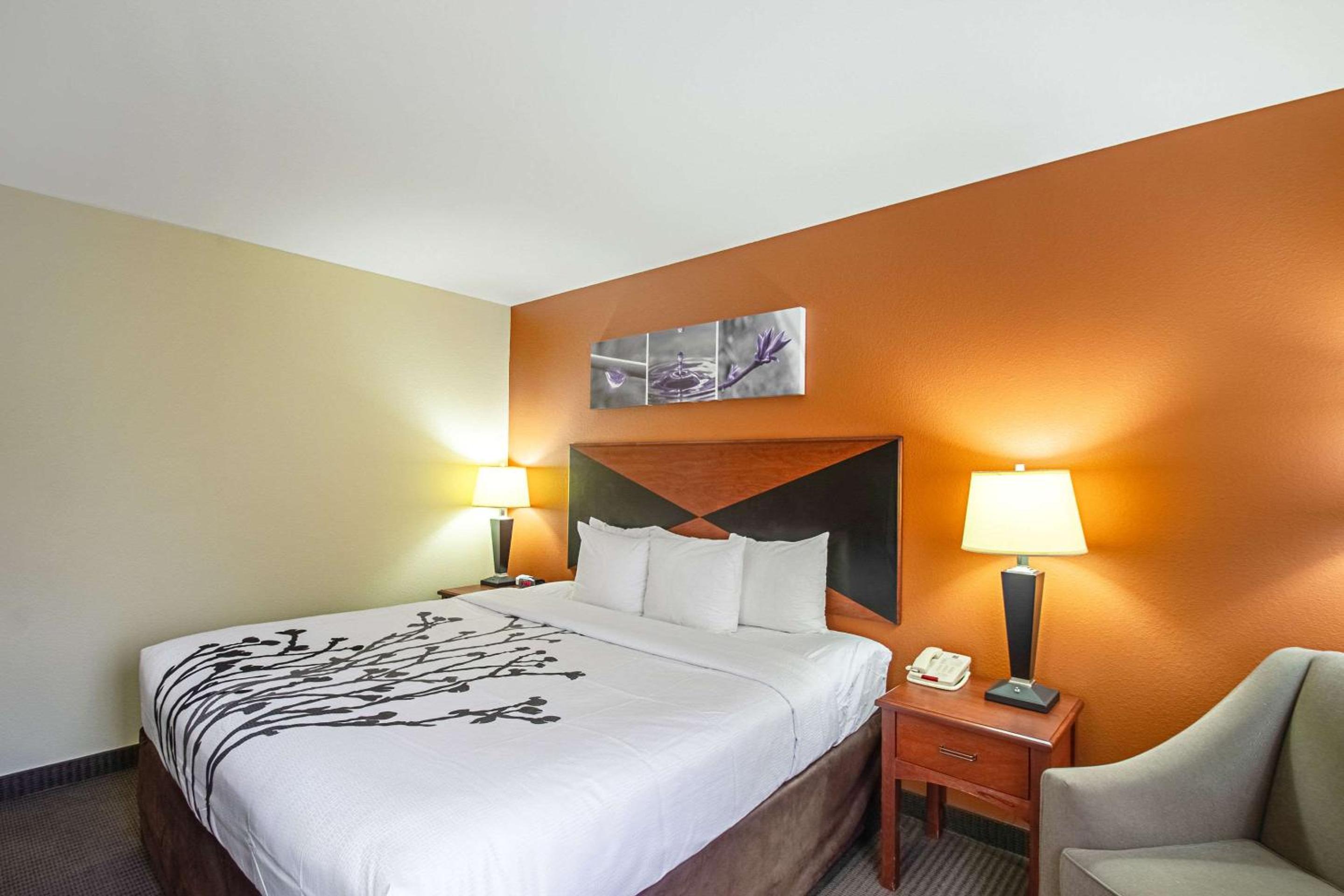 King Room - Photo 1