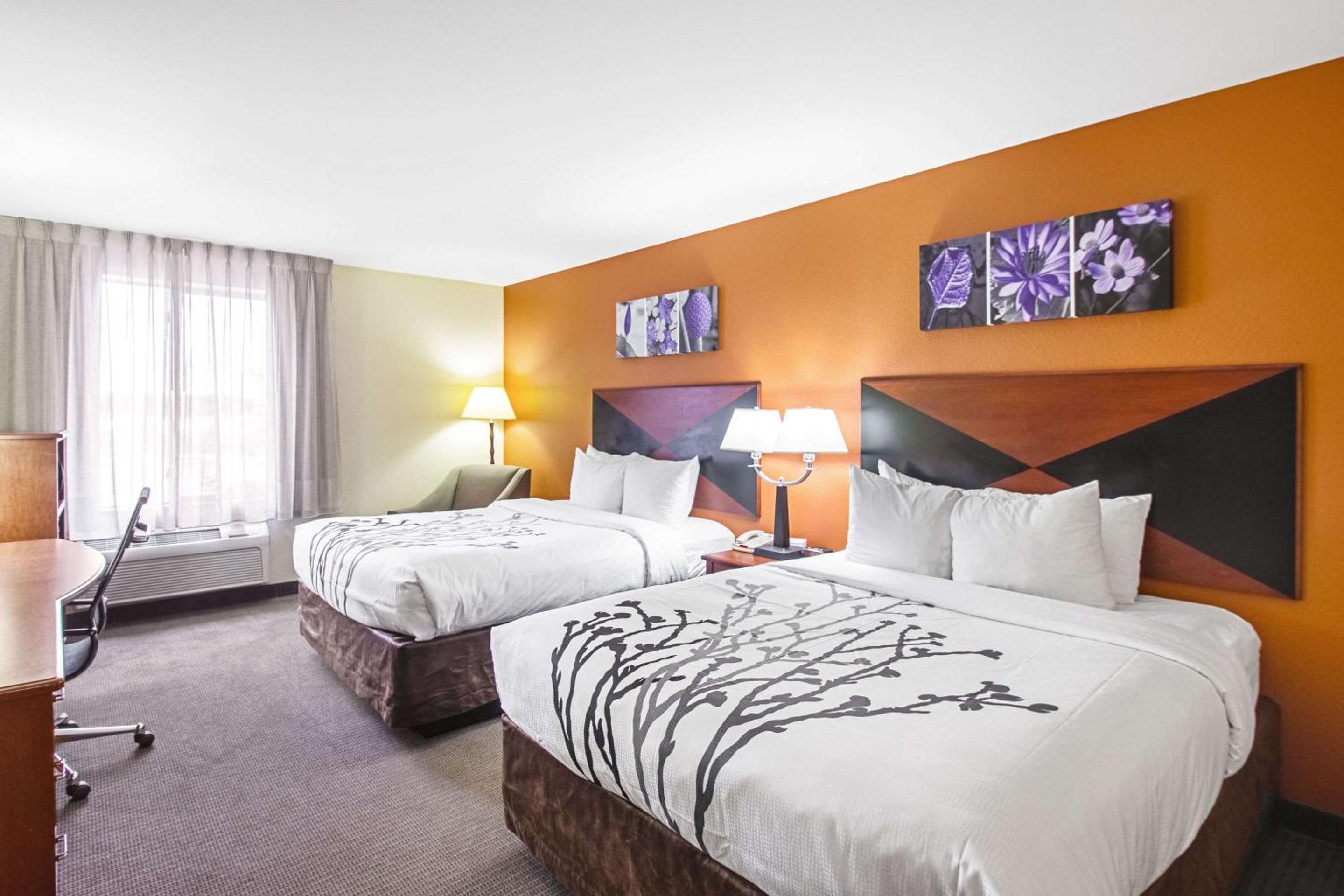 Queen Room - Photo 3