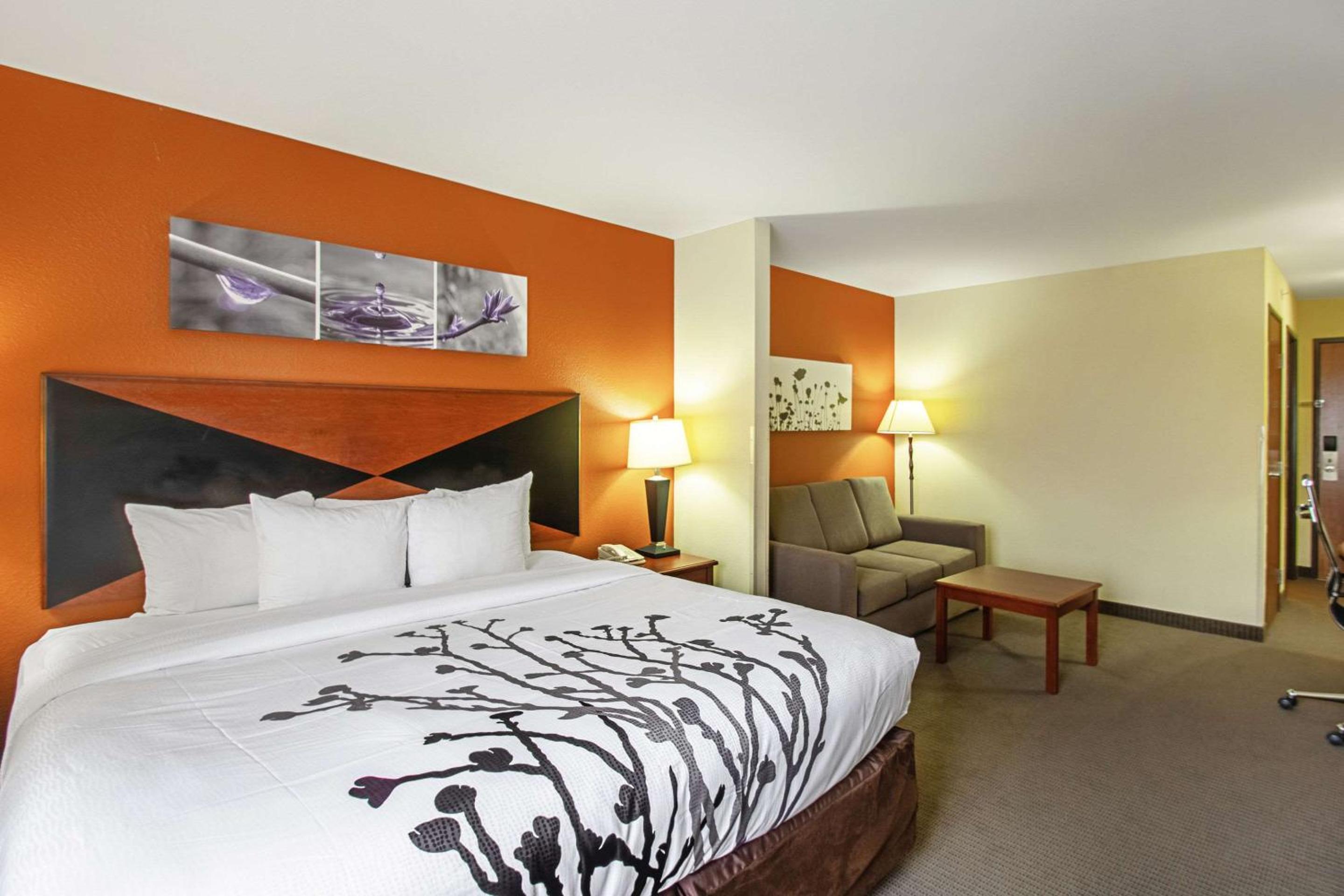 Suite - Photo 1