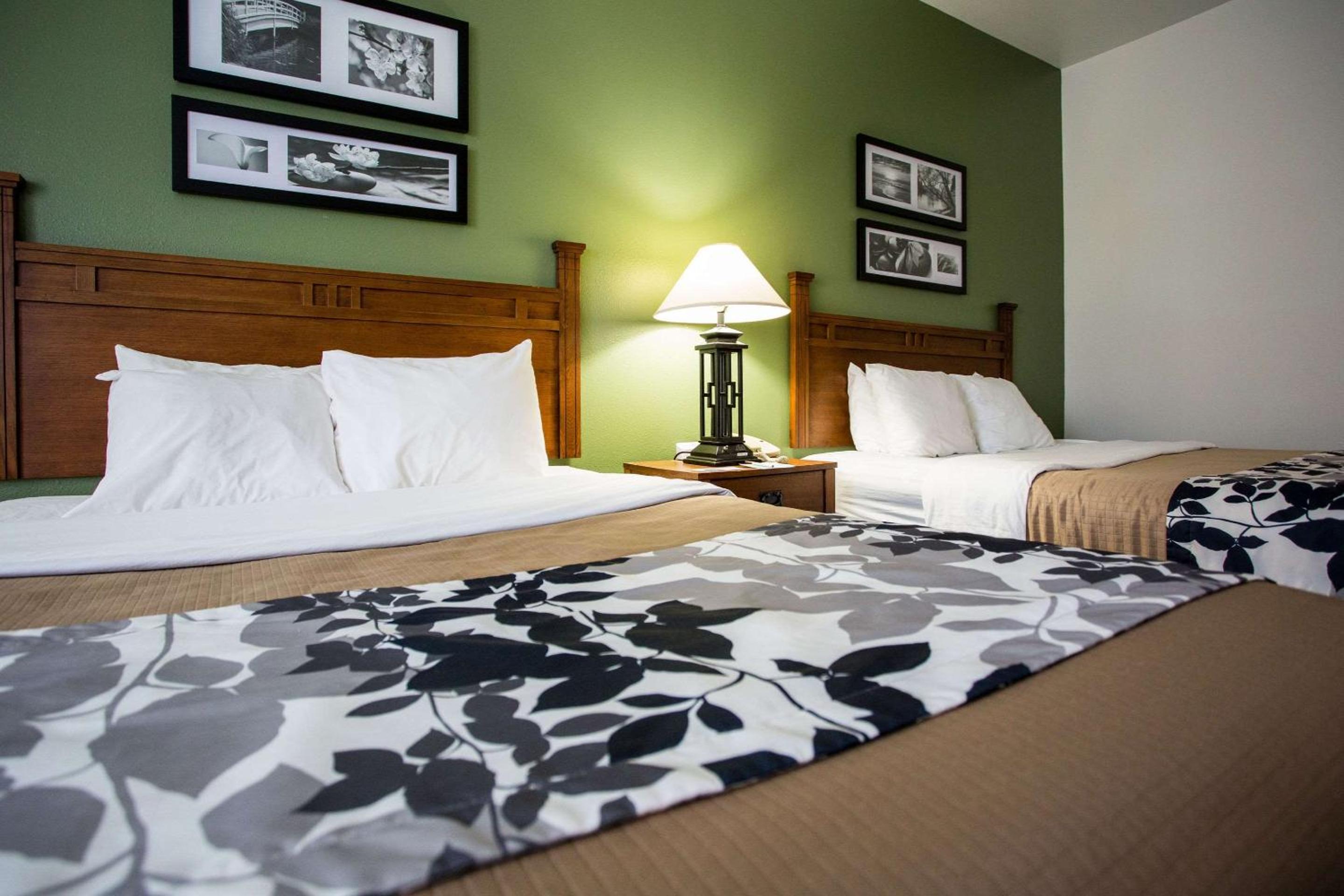 Queen Room with Two Queen Beds - Non-Smoking photo 2
