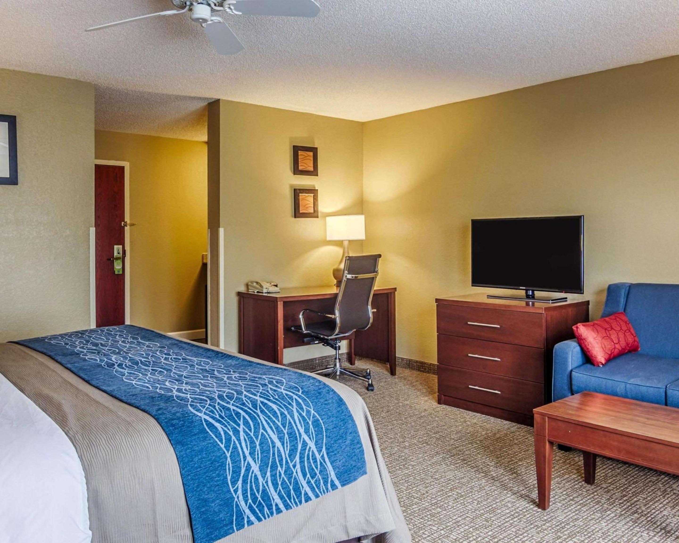 King Suite with Sofa Bed- Non-Smoking  - Photo 1