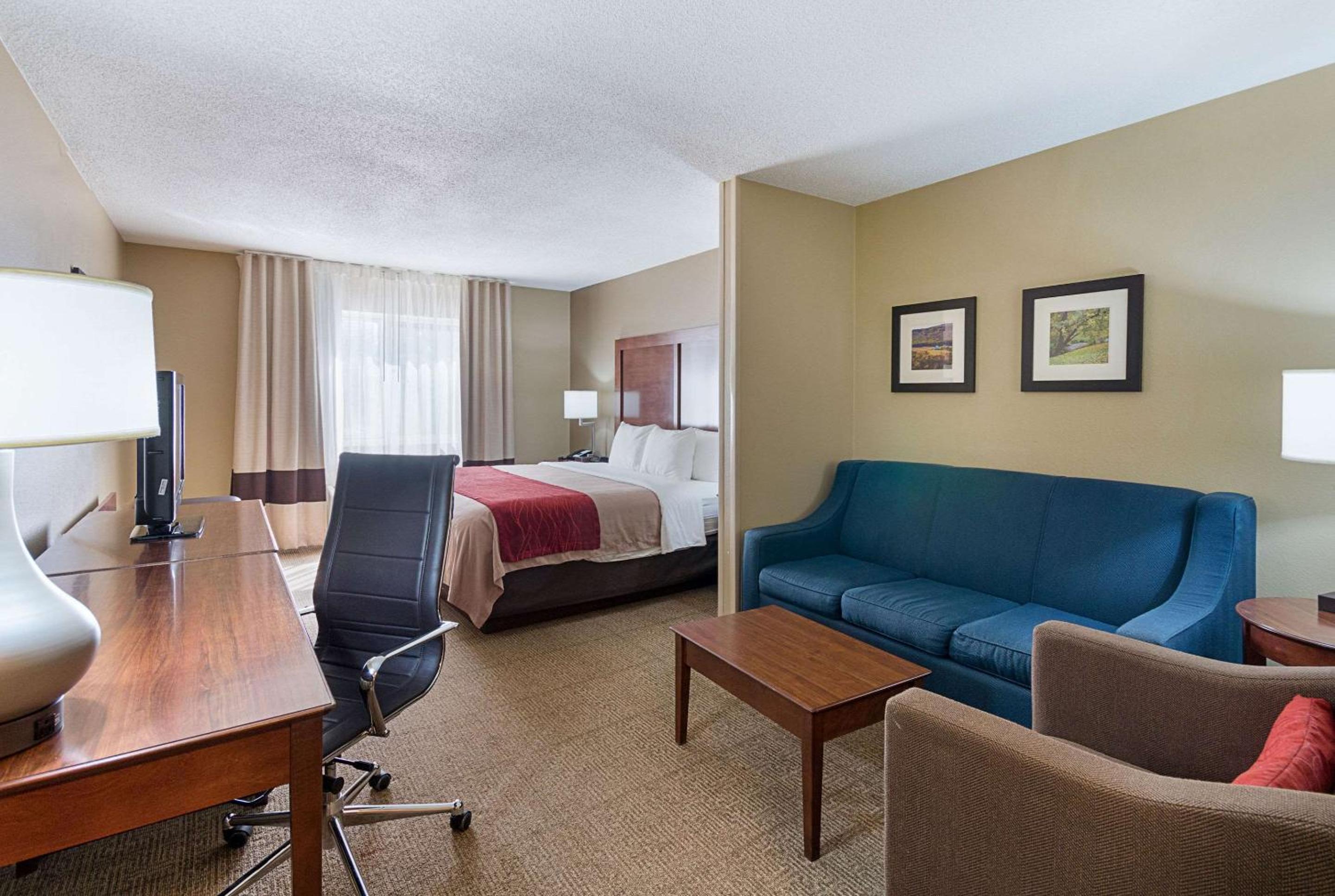 Suite, King Bed, Non-Smoking - Photo 1