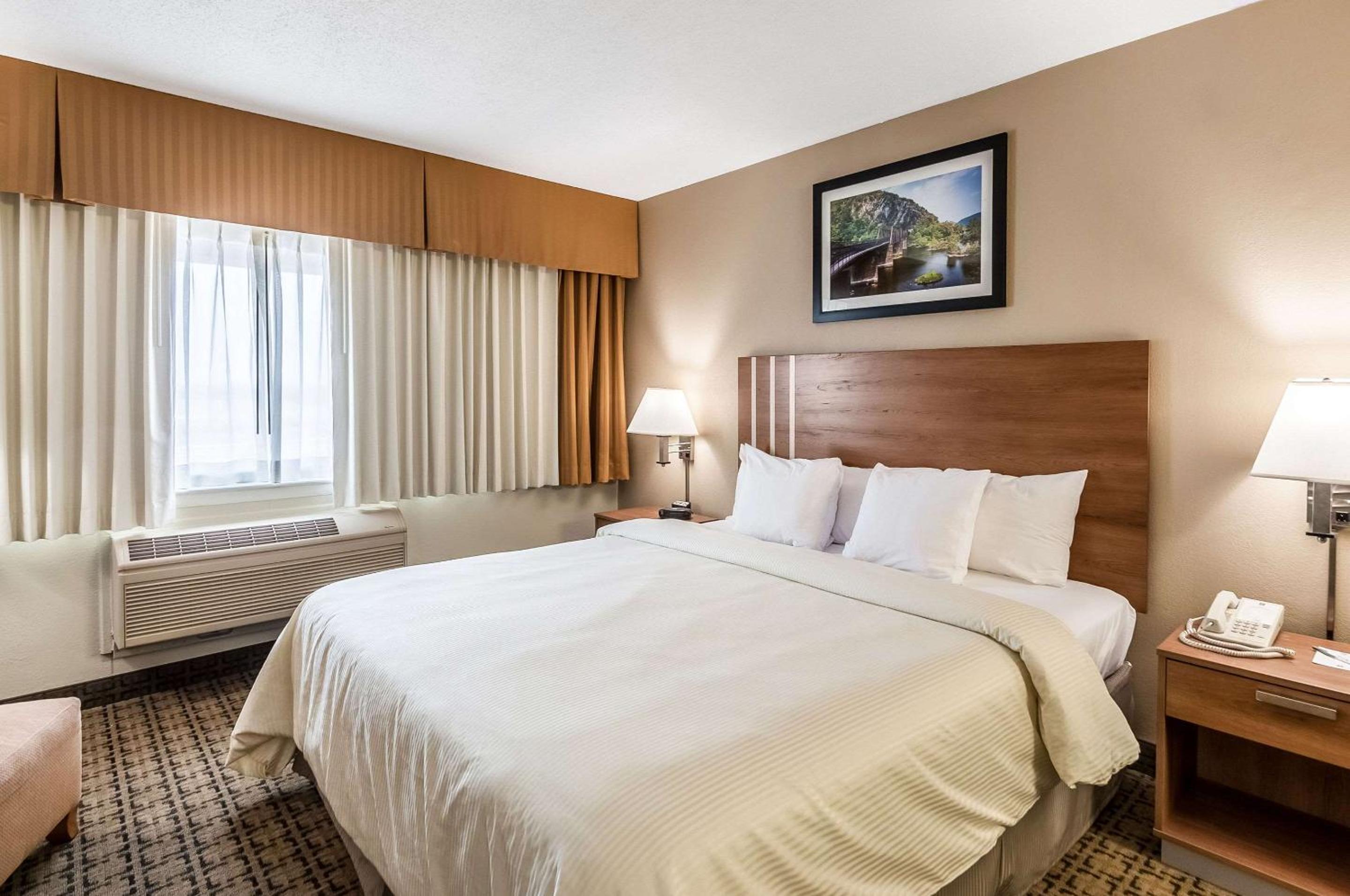 Standard King Room - Non-Smoking  - Photo 1
