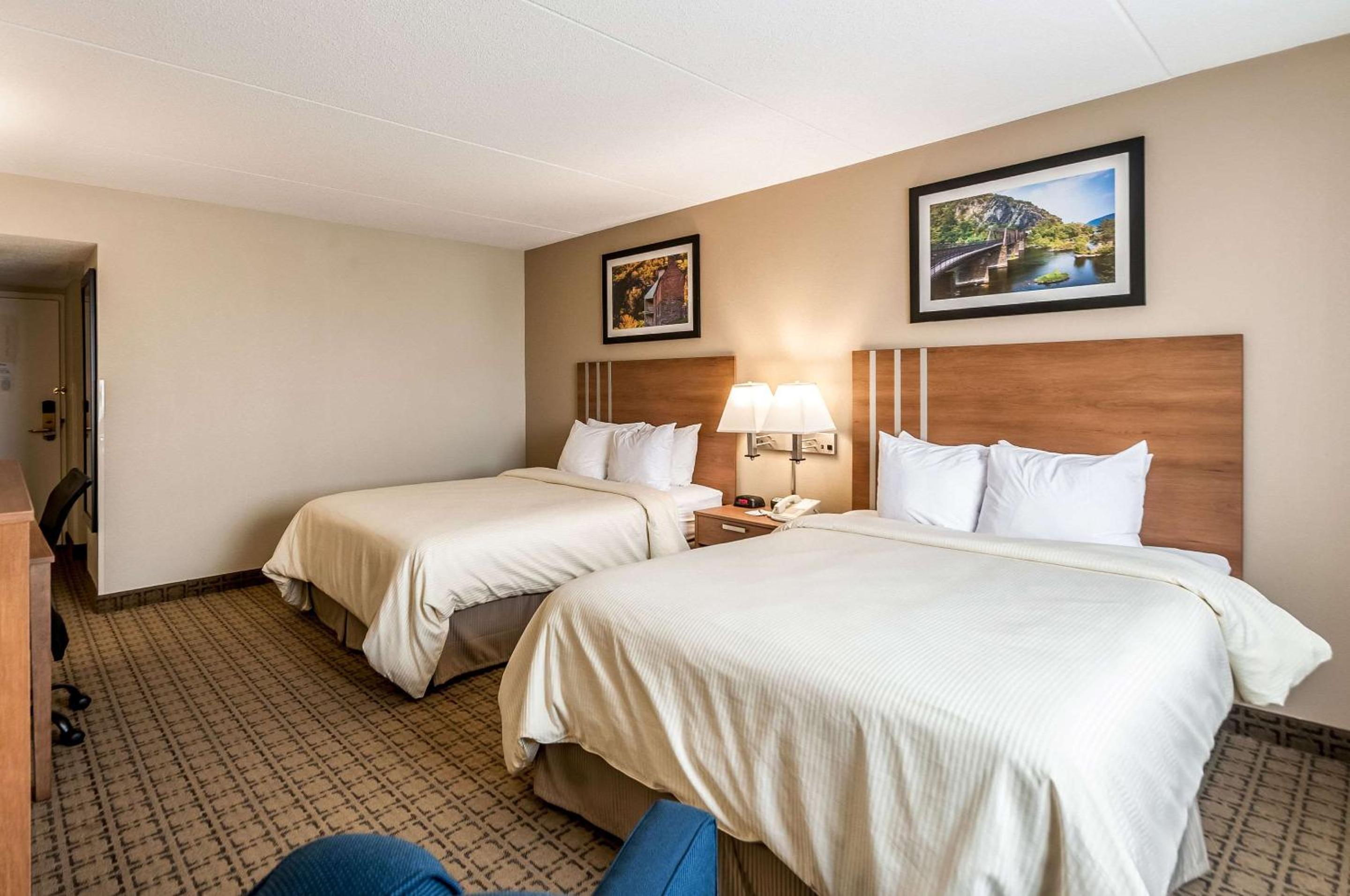 Standard Queen Room with Two Queen Beds - Photo 5