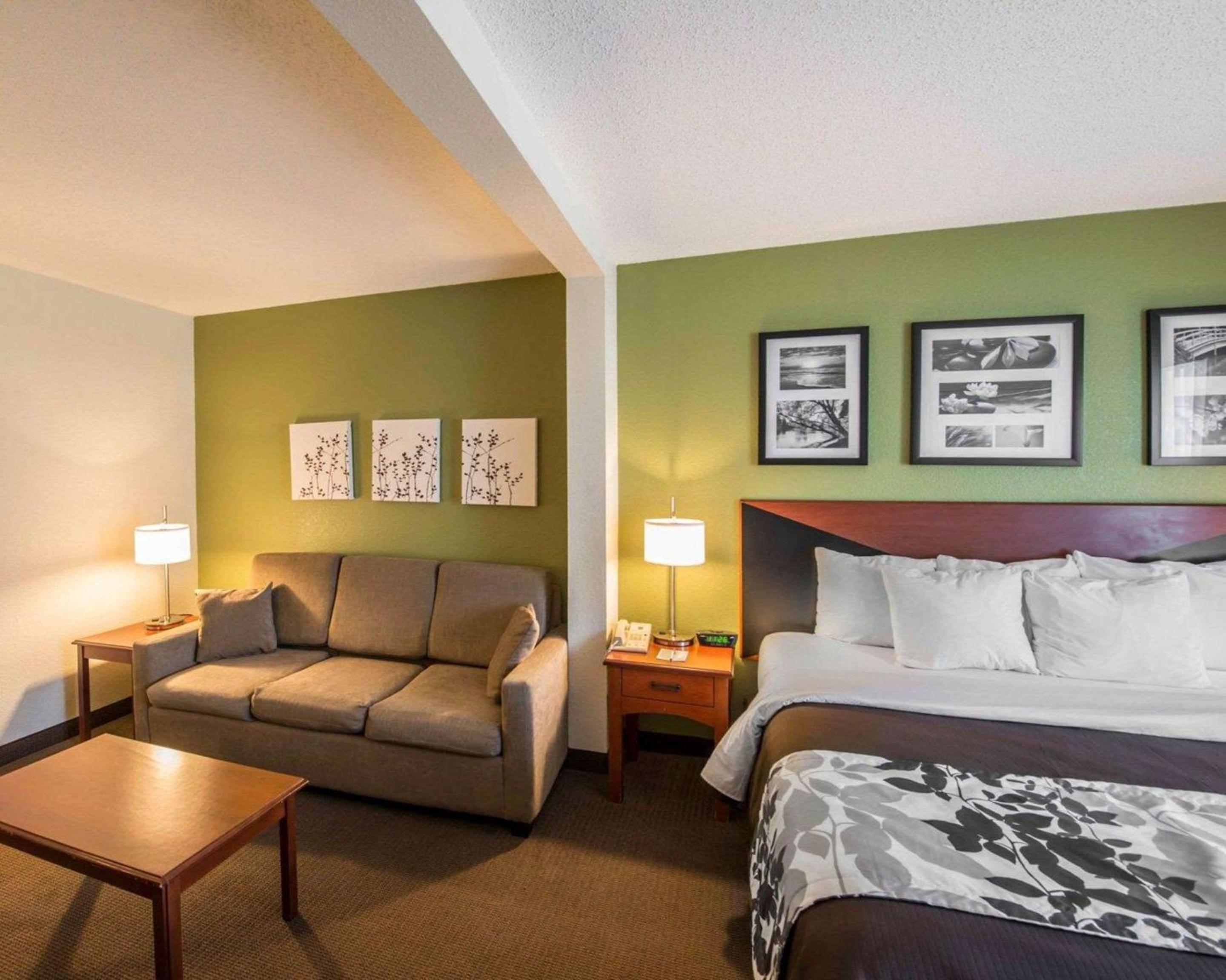 King Suite - Non-Smoking - Photo 6