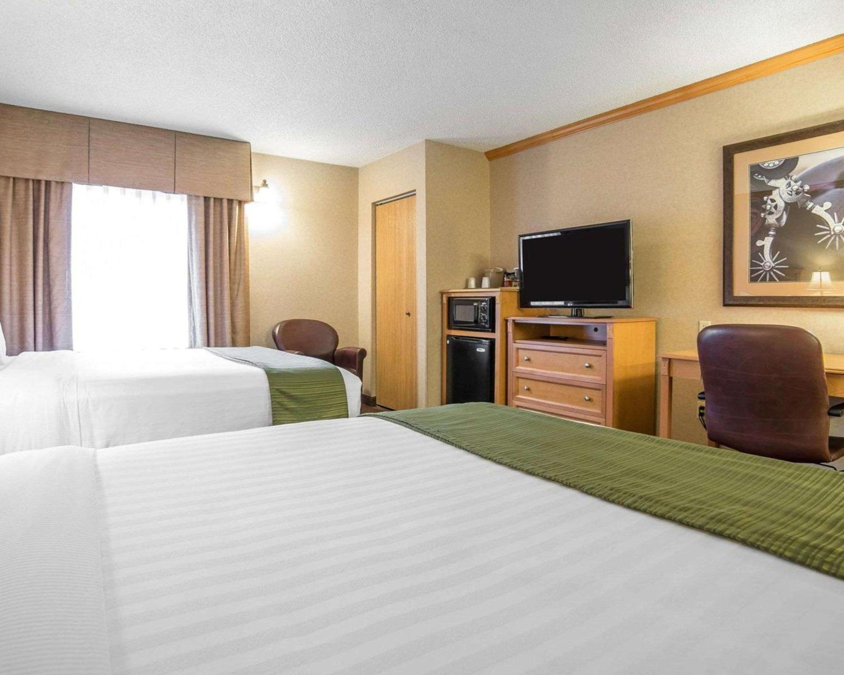 Standard Queen Room with Two Queen Beds - Non-Smoking - Dogs Only - Photo 3