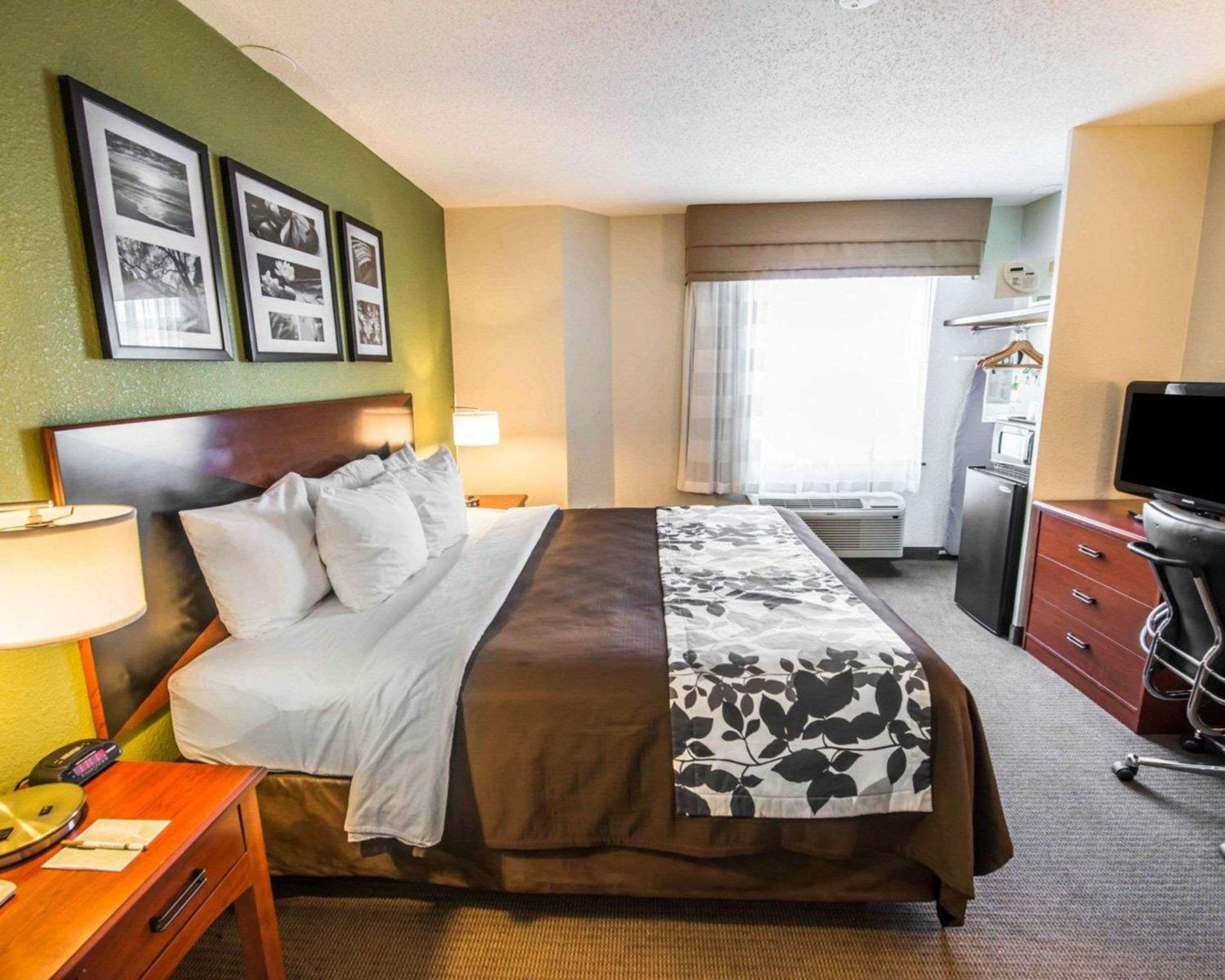 King Room - Non-Smoking - Photo 4