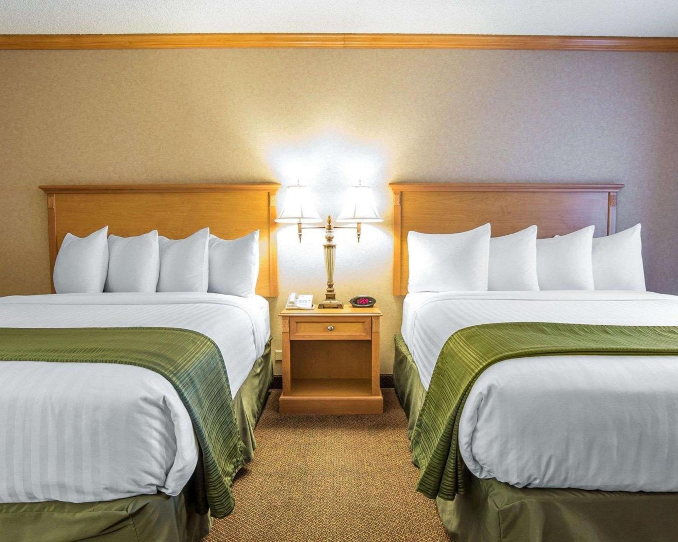 Standard Queen Room with Two Queen Beds - Non-Smoking - Dogs Only - Photo 2