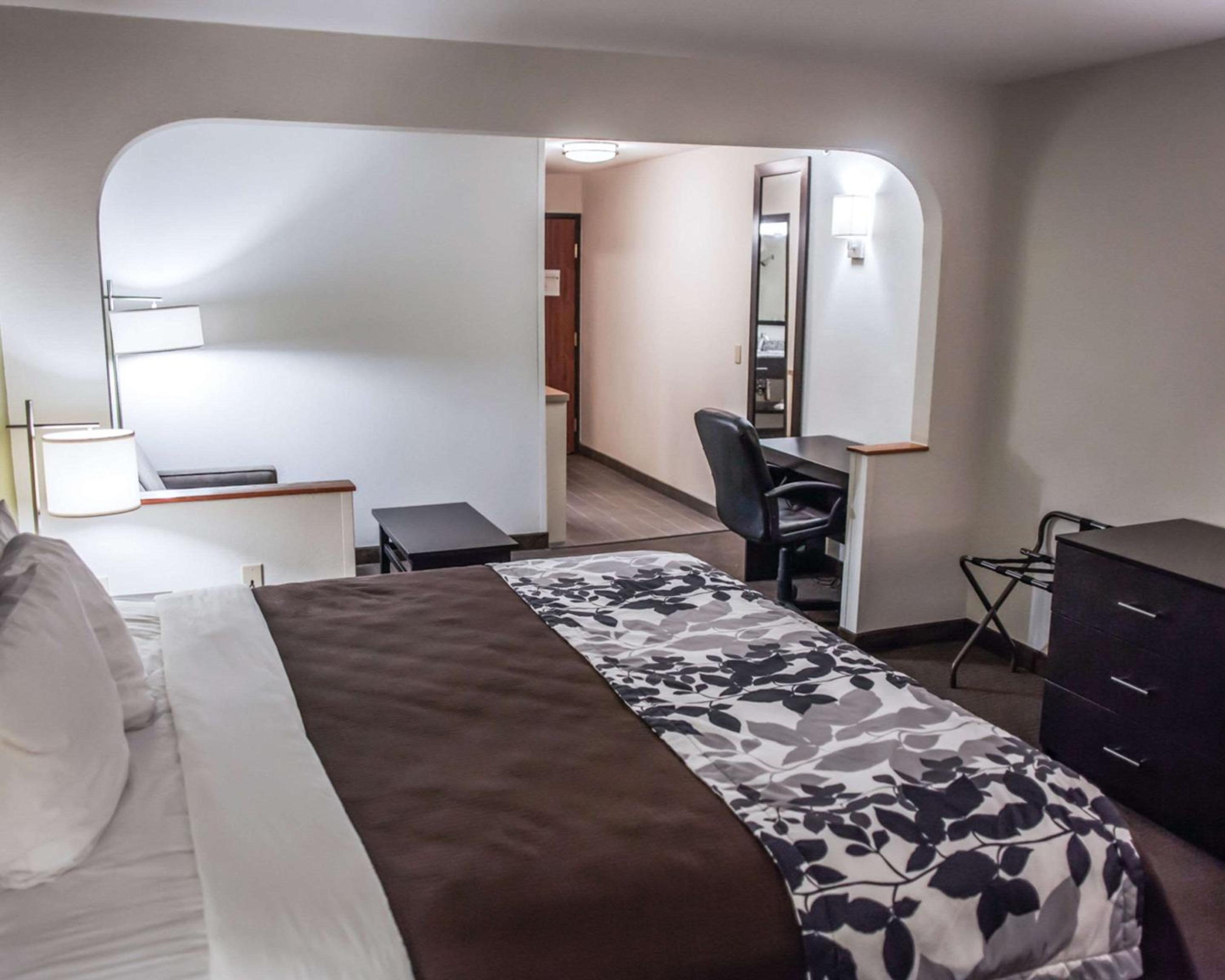 King Suite - Accessible/Non-Smoking - Photo 6