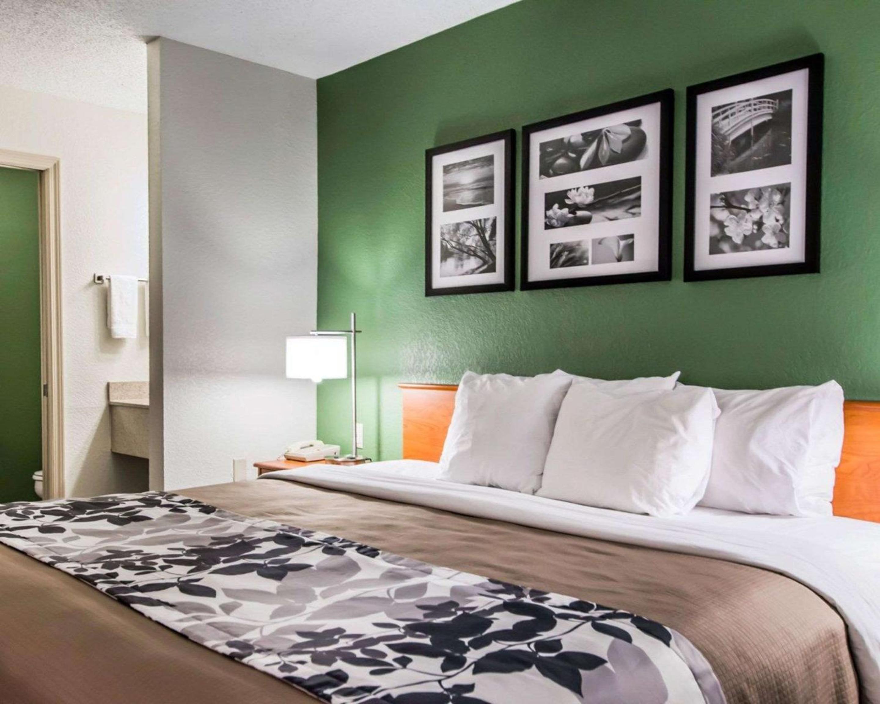 King Room - Non-Smoking - Photo 1