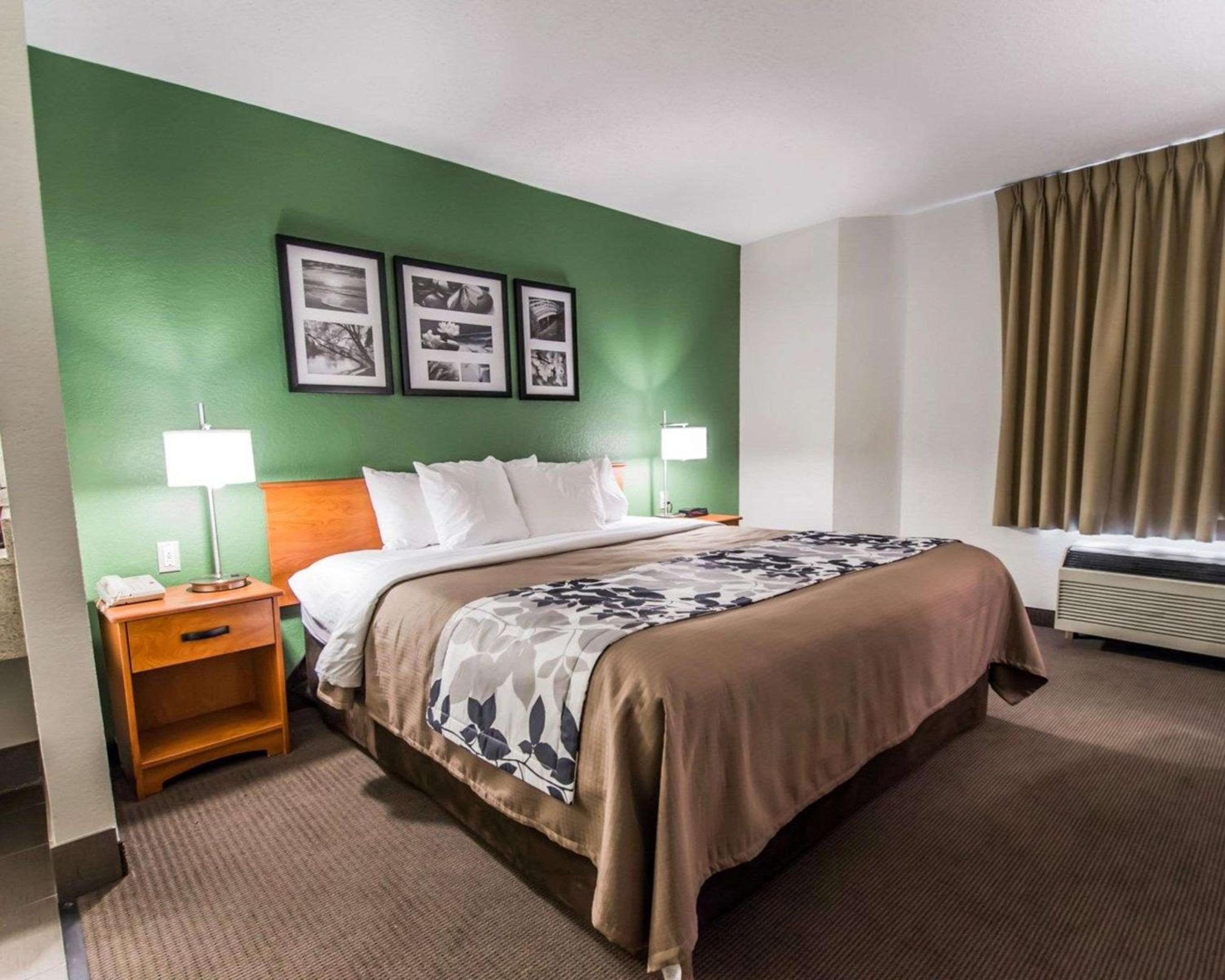 King Room - Non-Smoking - Photo 3
