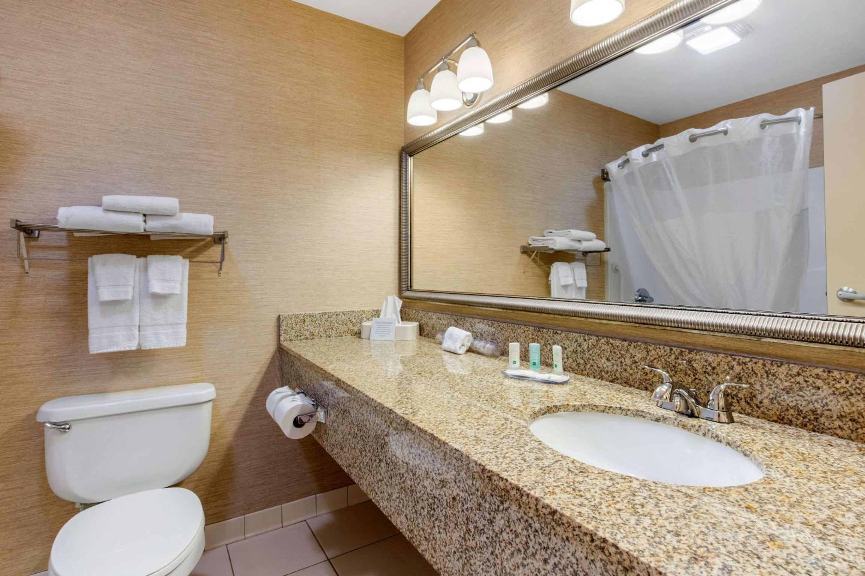 King Suite with Sofa-Bed - Non-Smoking - Photo 2
