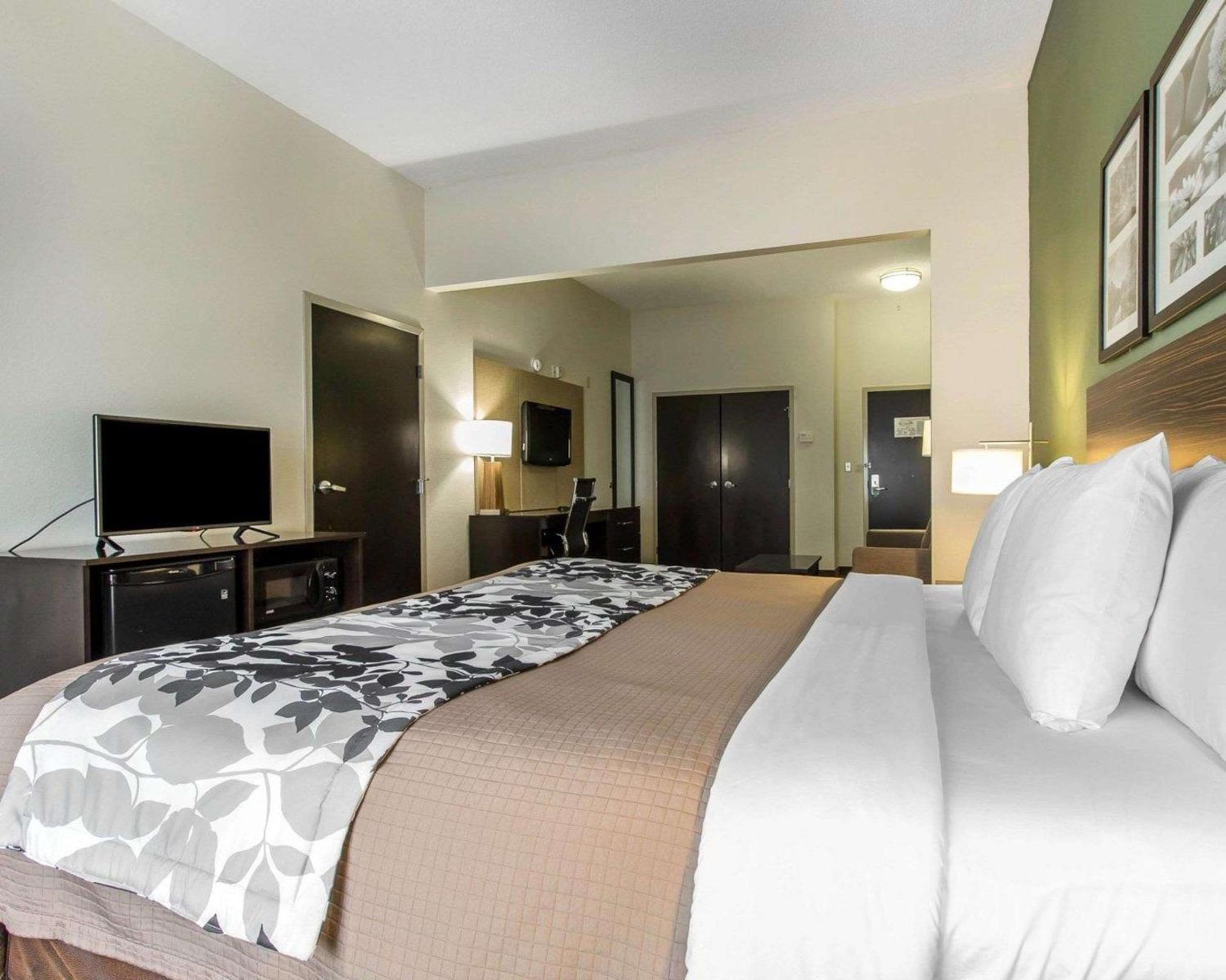King Suite - Non-Smoking - Photo 1