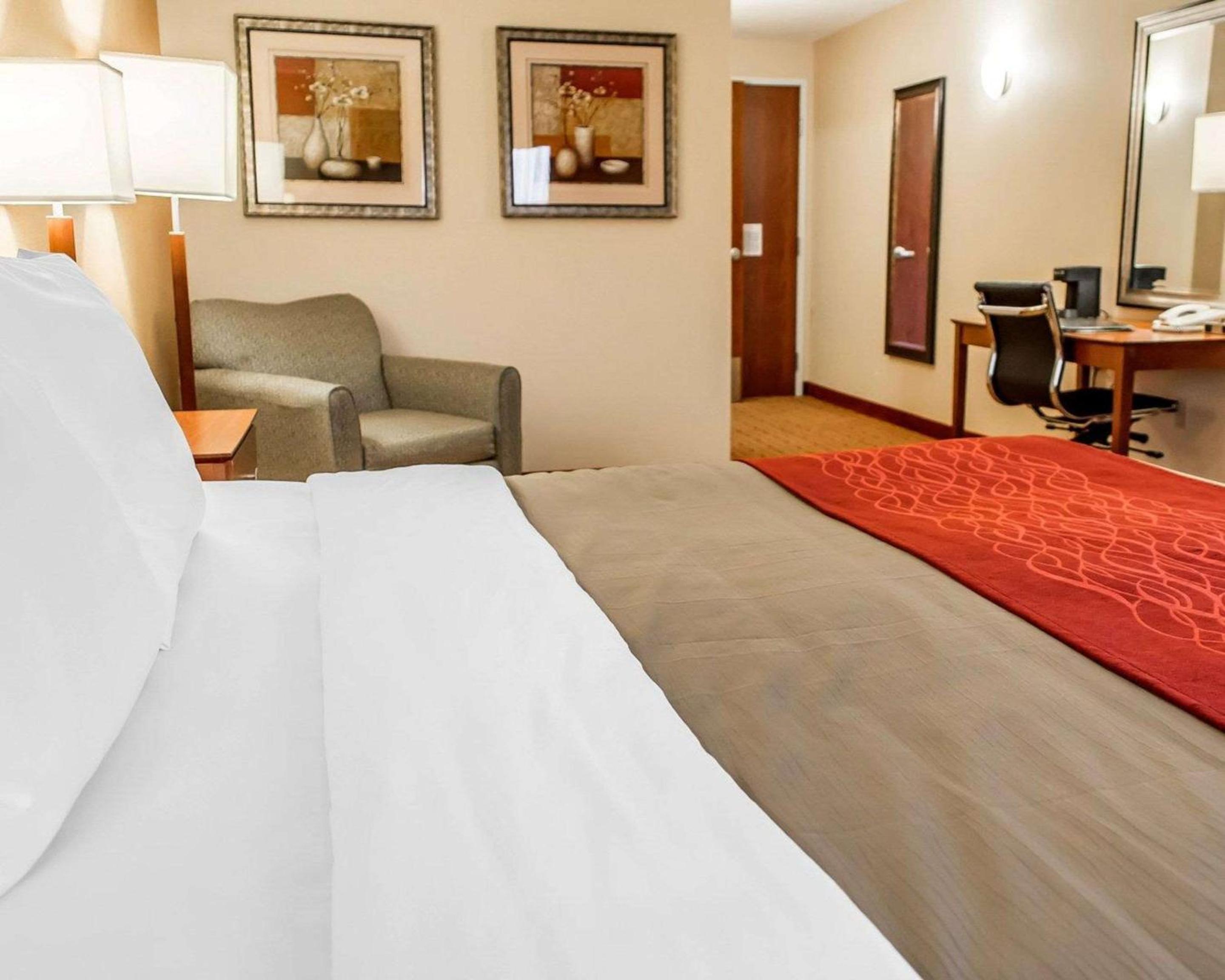King Room - Non-Smoking - Photo 1