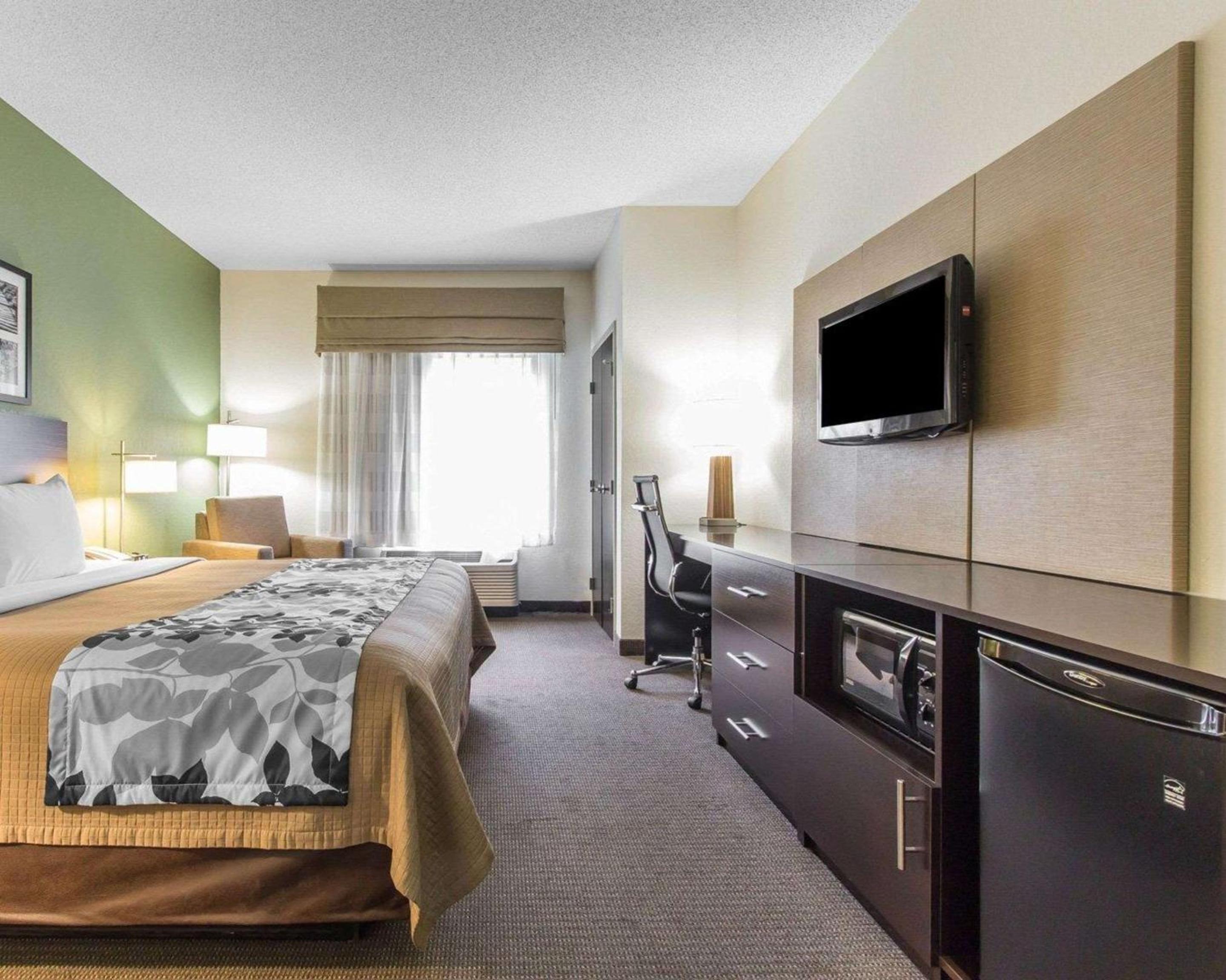 King Room - Non-Smoking - Photo 2