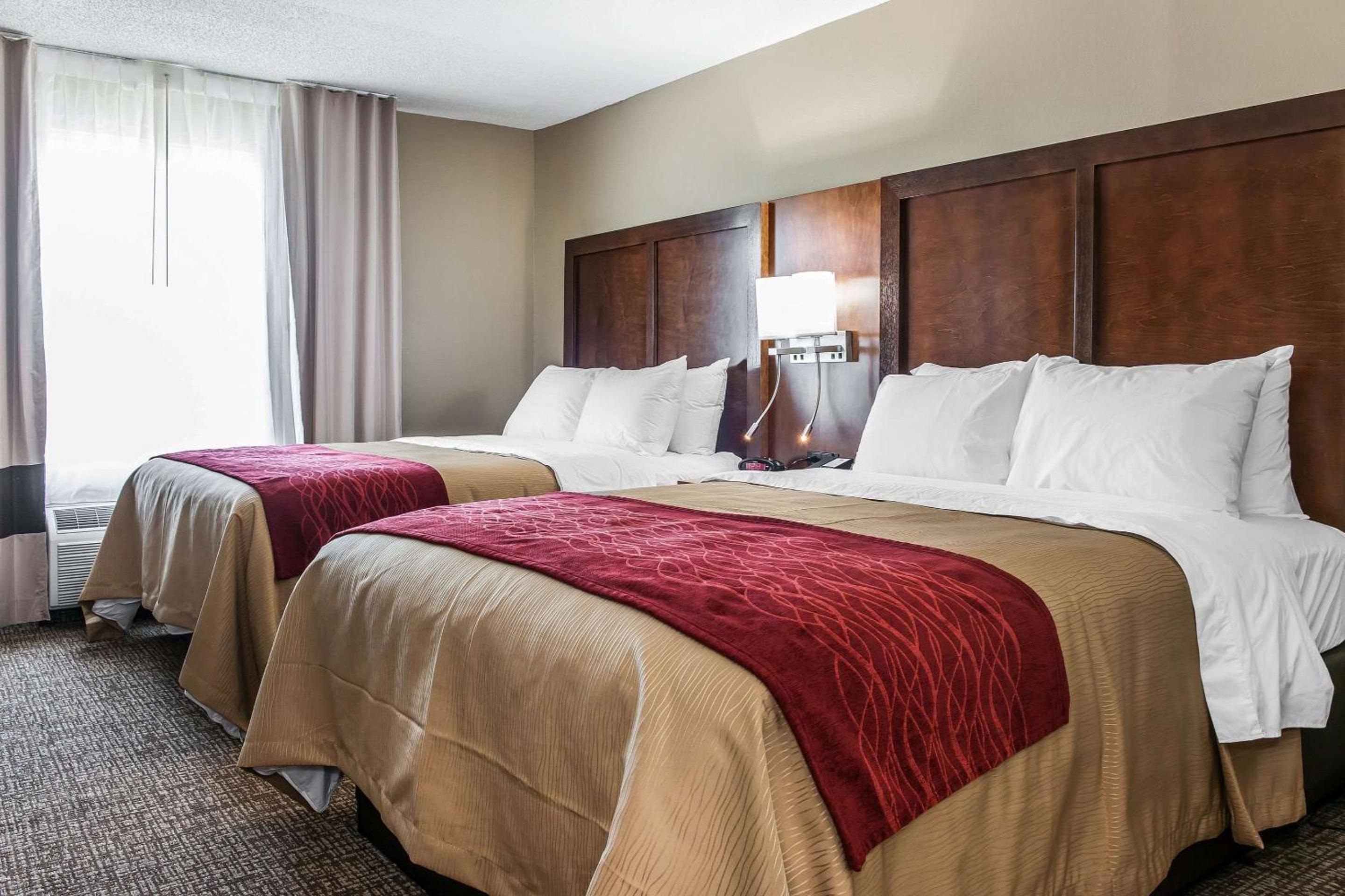 Queen Suite with Two Queen Beds and Sofa Bed - Photo 1