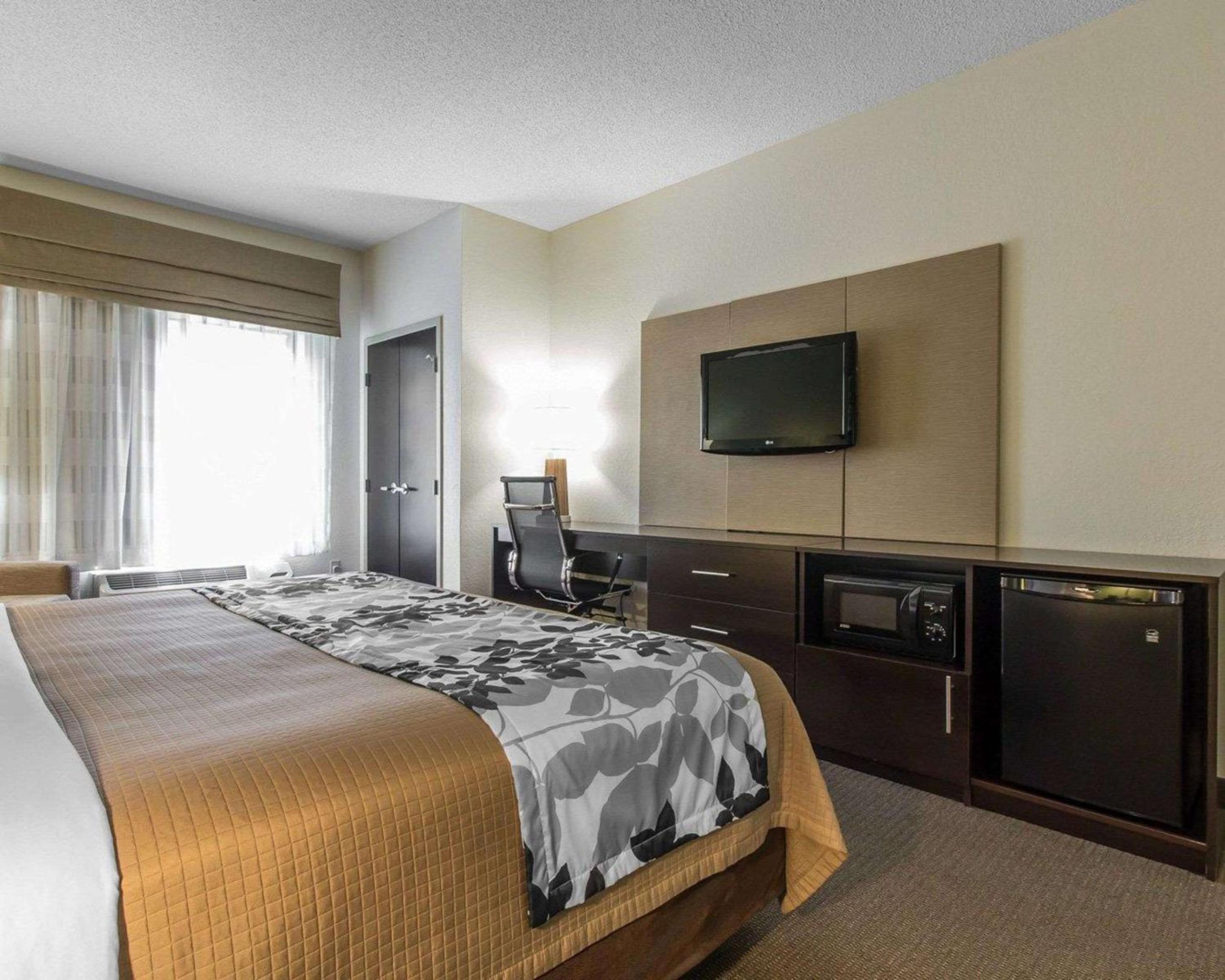 King Room - Non-Smoking - Photo 3