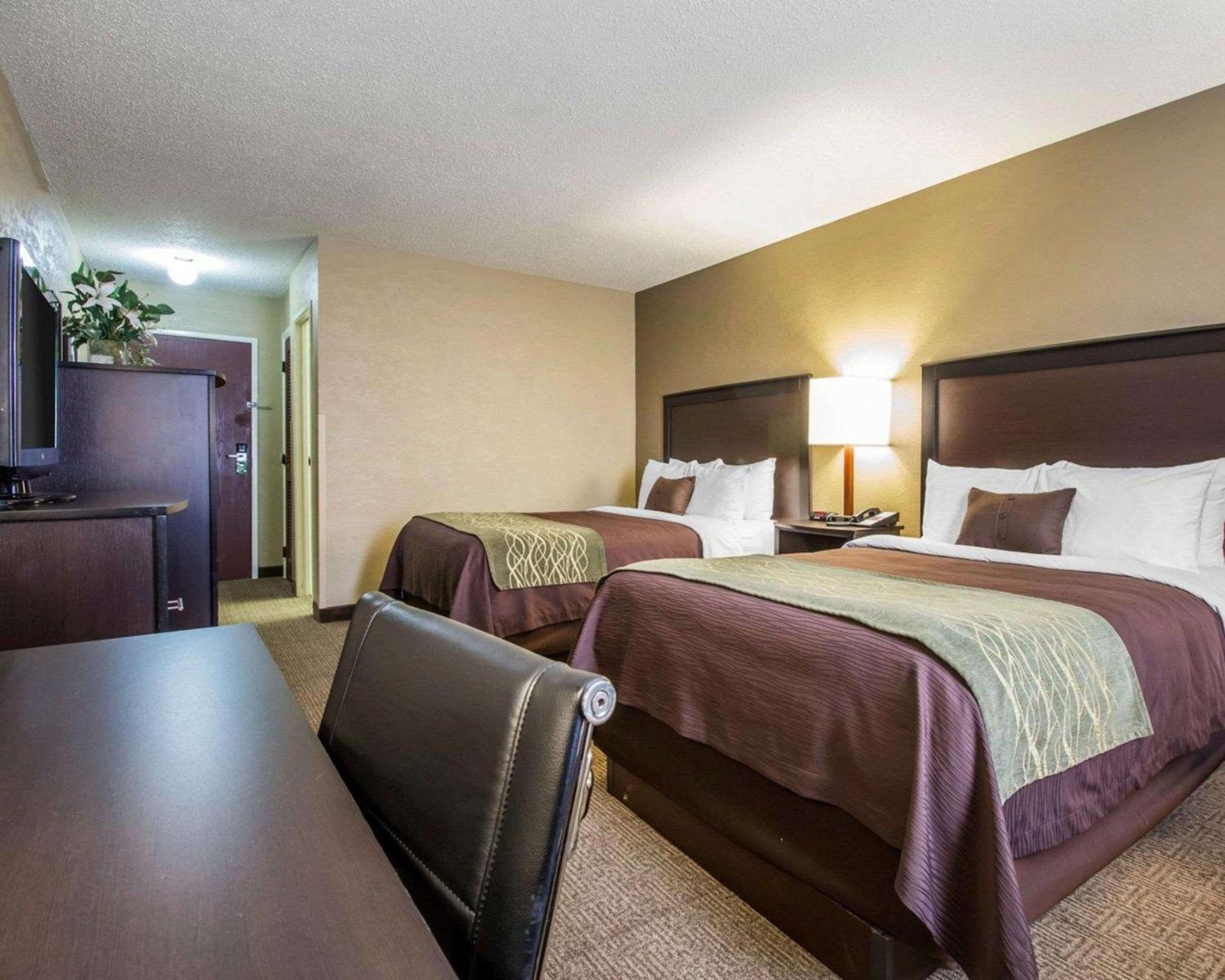 Double Room with Two Double Beds - Photo 2