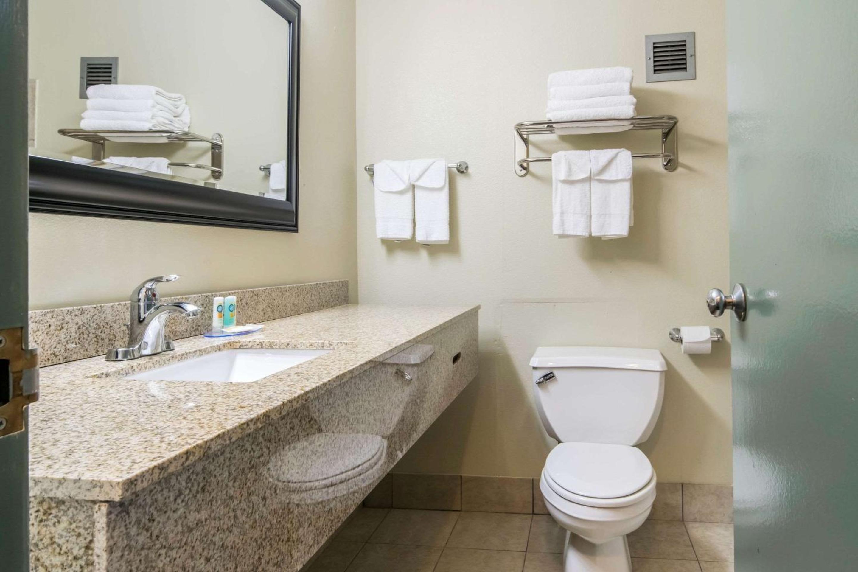 Superior Efficiency King Suite - Non-Smoking photo 3