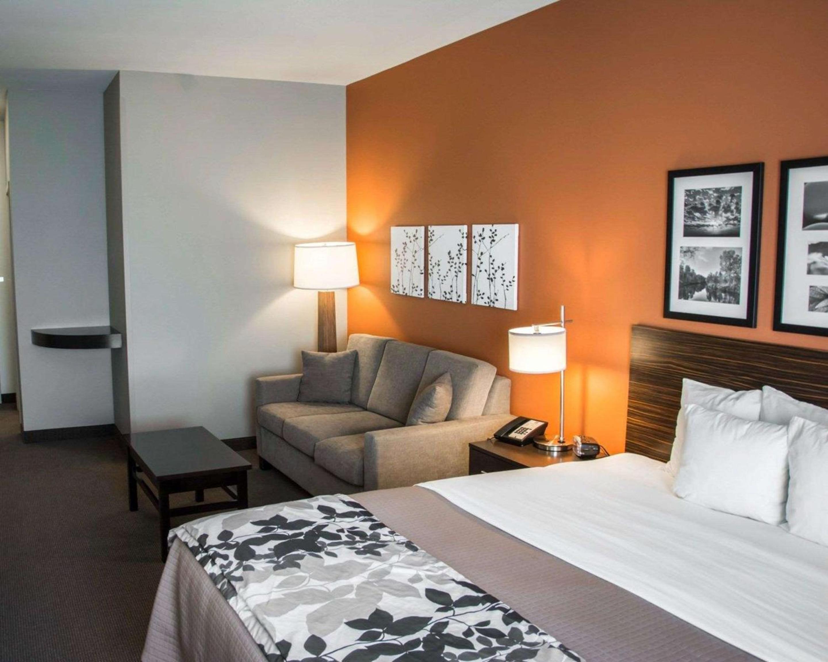 King Suite - Accessible/Non-Smoking - Photo 5