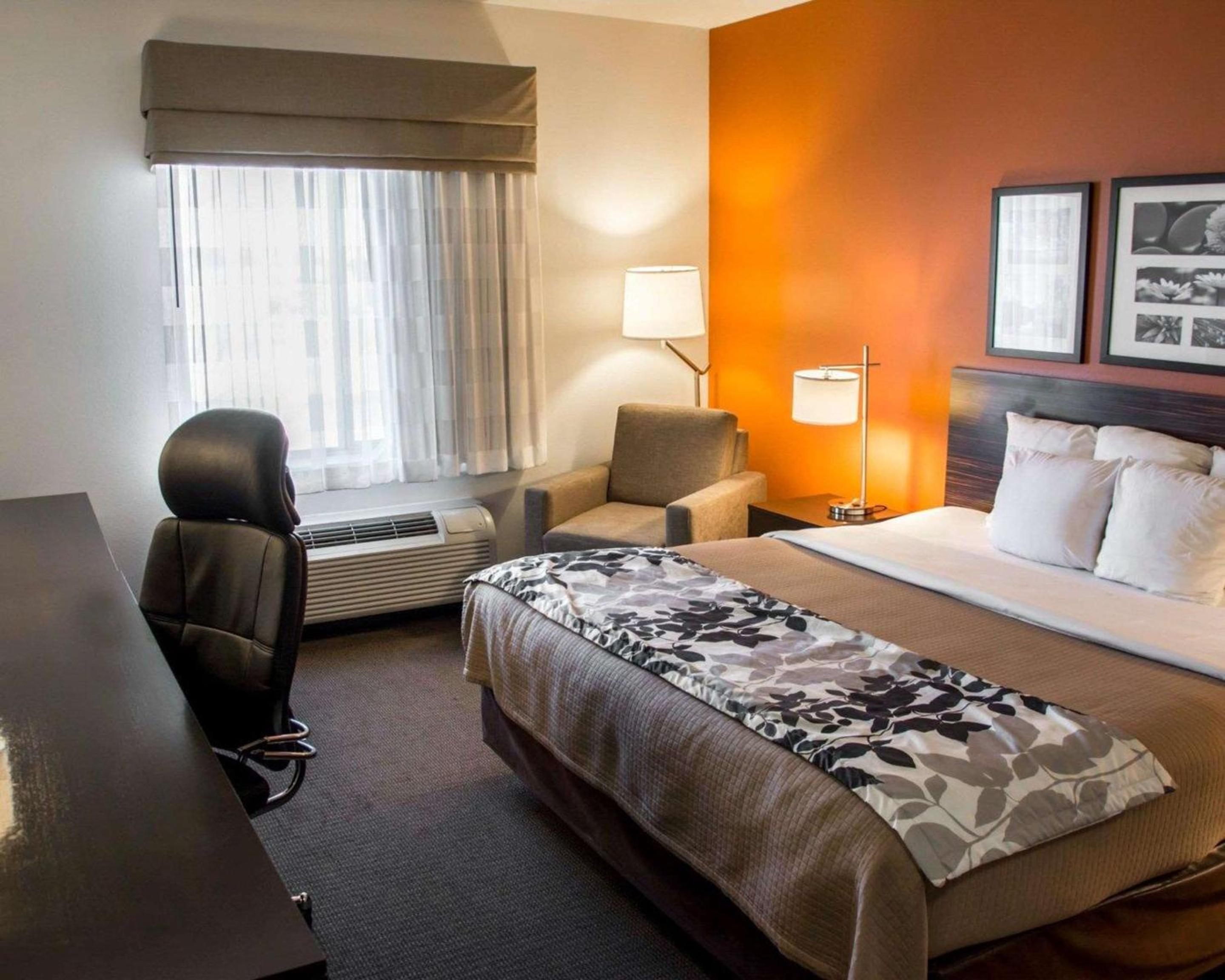 King Room - Non-Smoking - Photo 4
