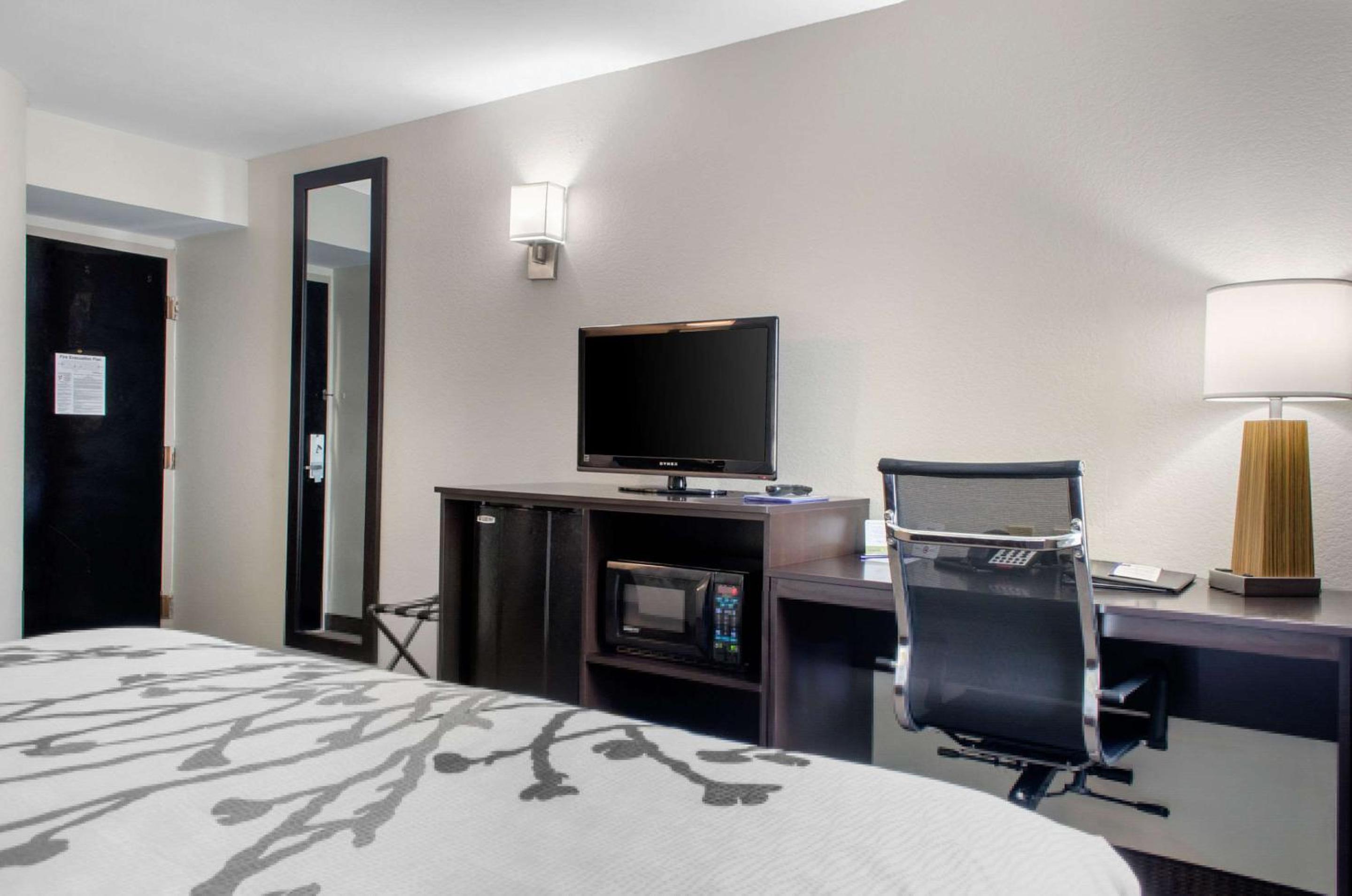 King Room - Non-Smoking - Photo 9