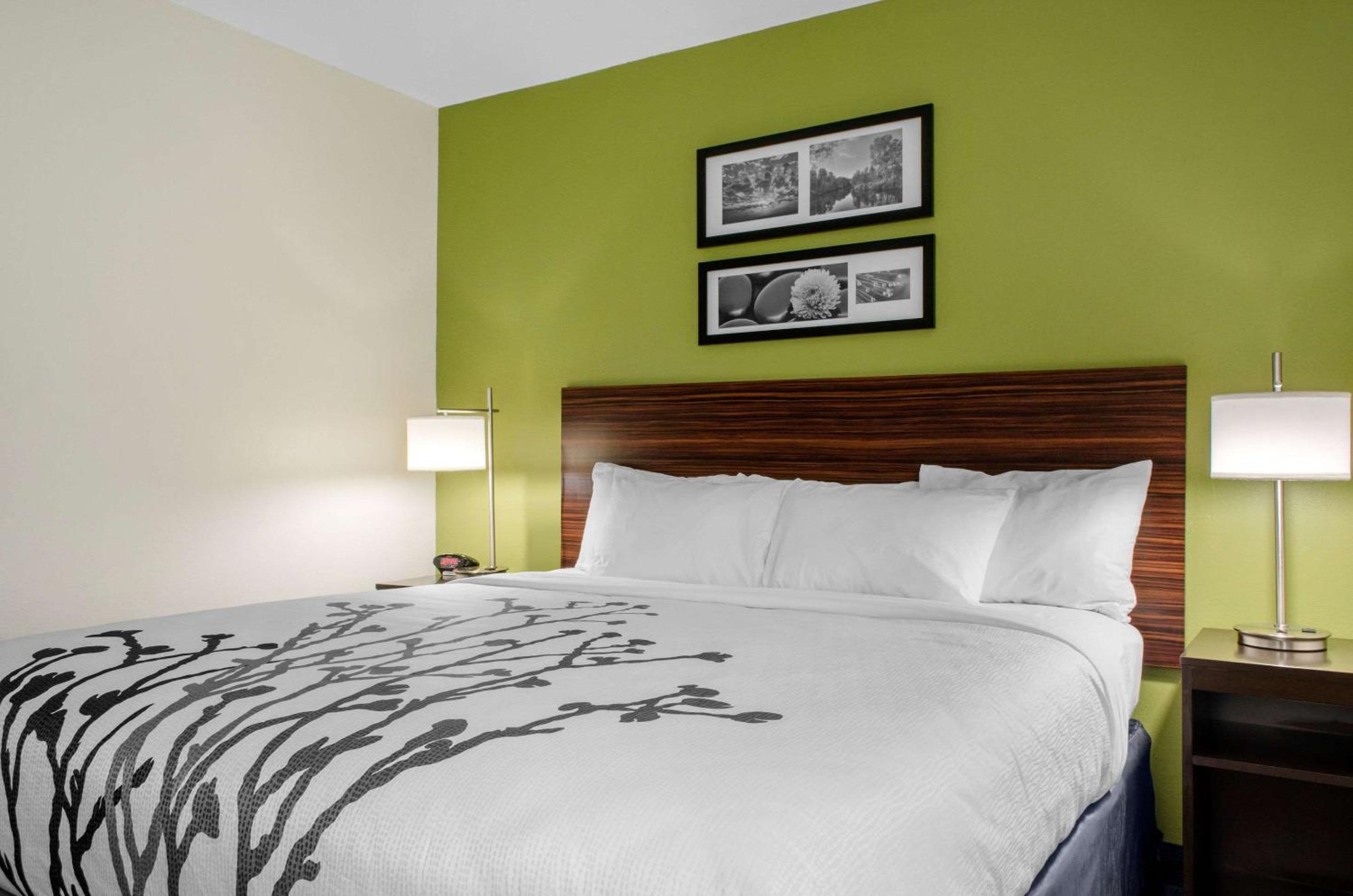 King Room - Non-Smoking - Photo 8