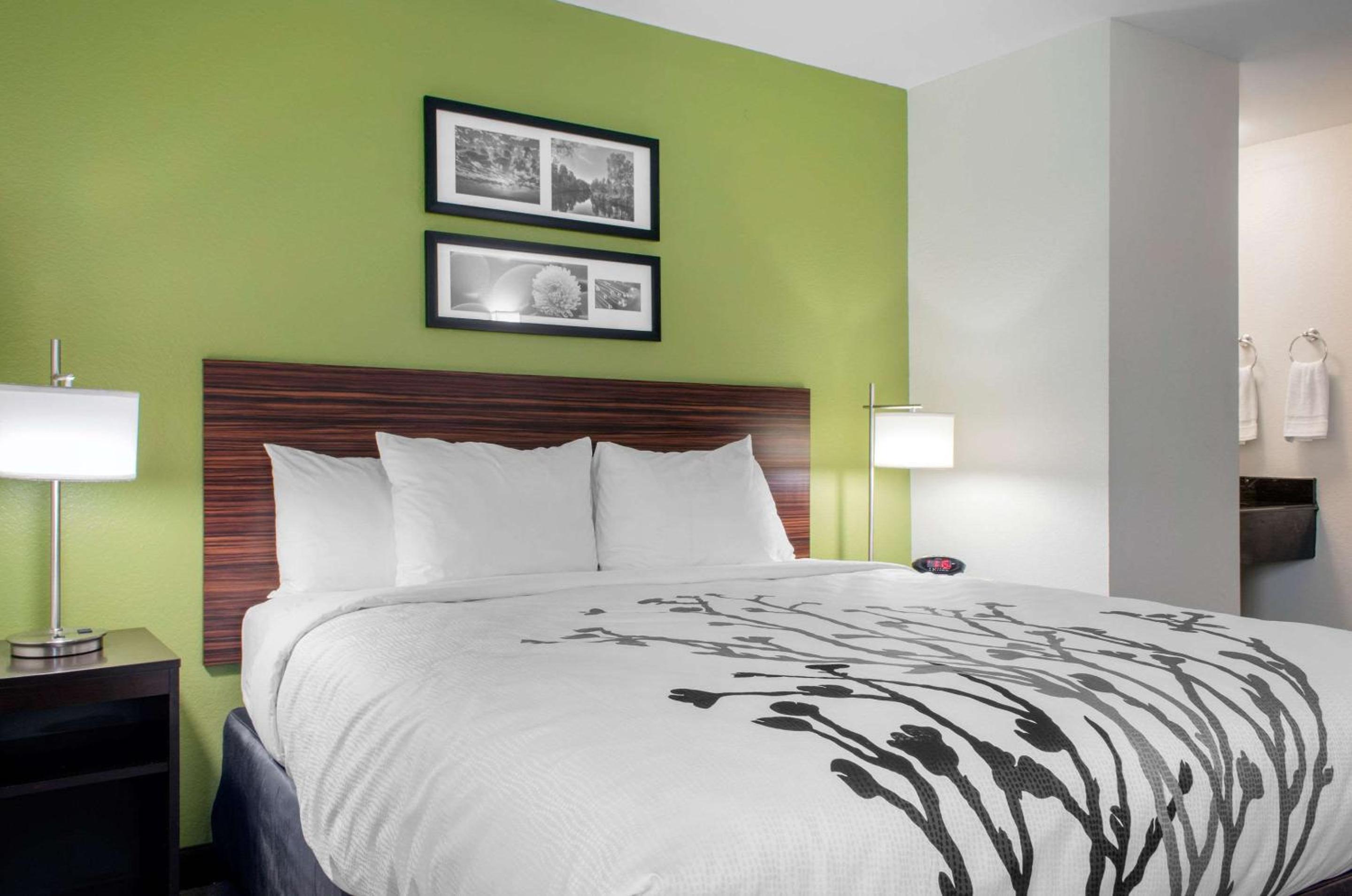 King Room - Non-Smoking - Photo 10