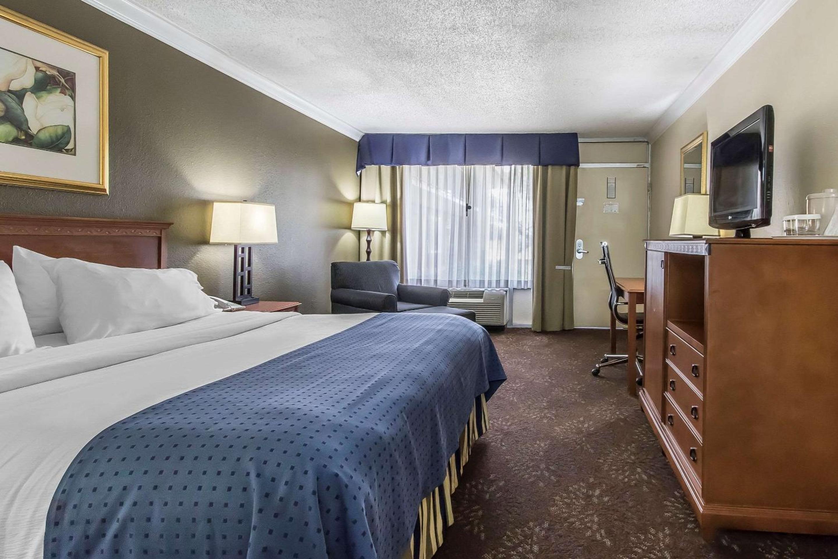 King Room photo 1