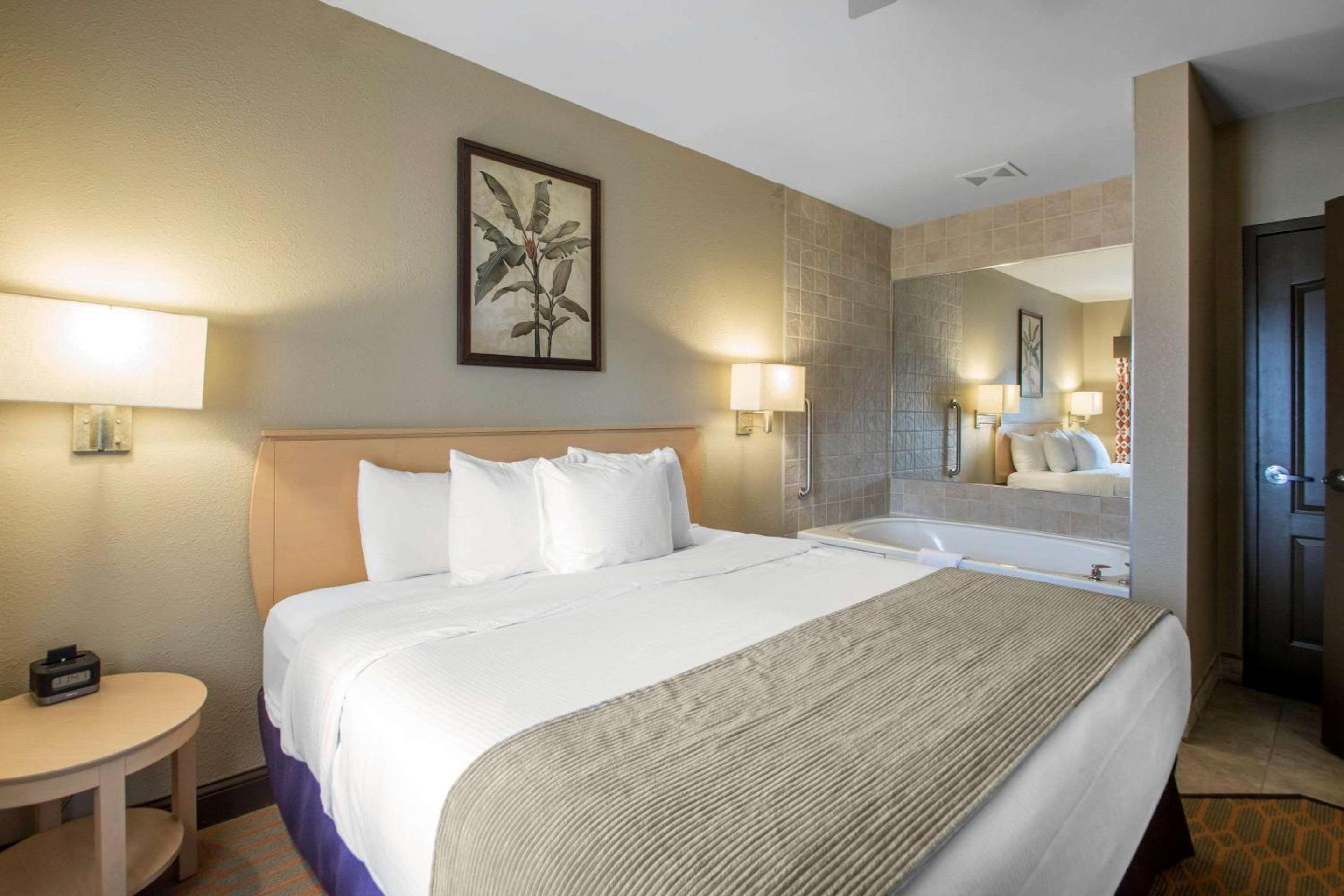 One-Bedroom Suite