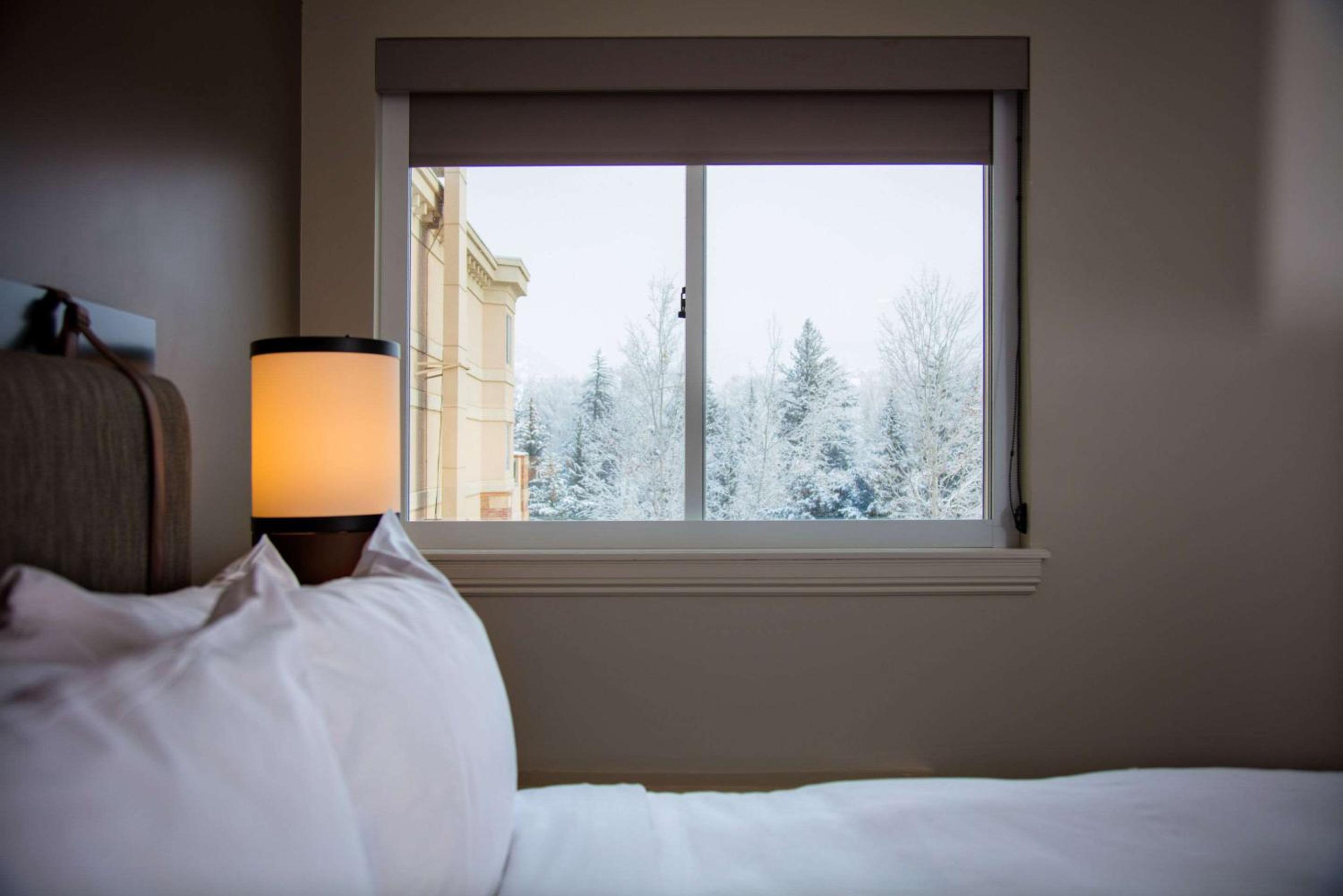 King Room with River View - Non-Smoking photo 3