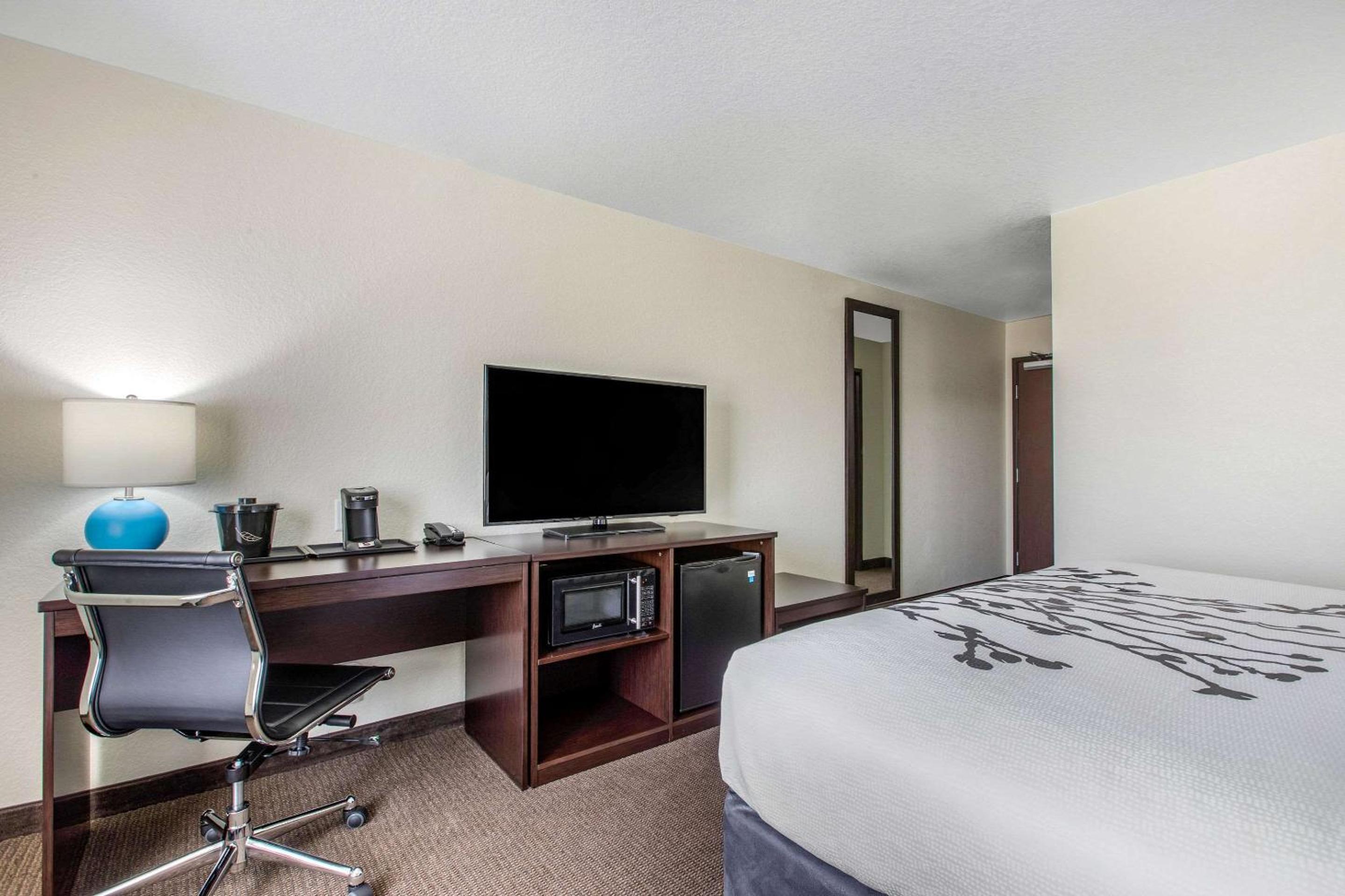 King Room - Non-Smoking photo 1