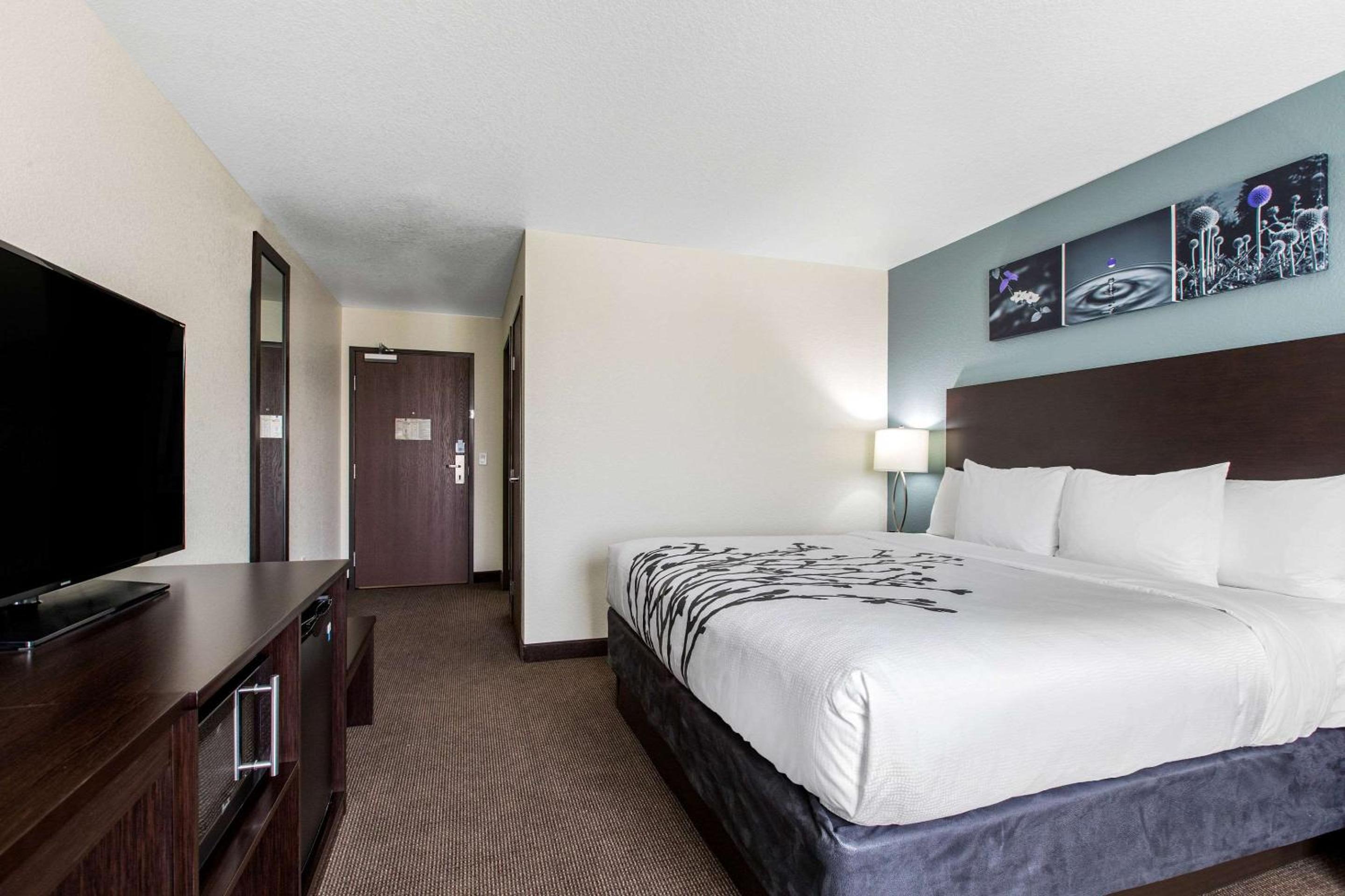 King Room - Non-Smoking photo 3