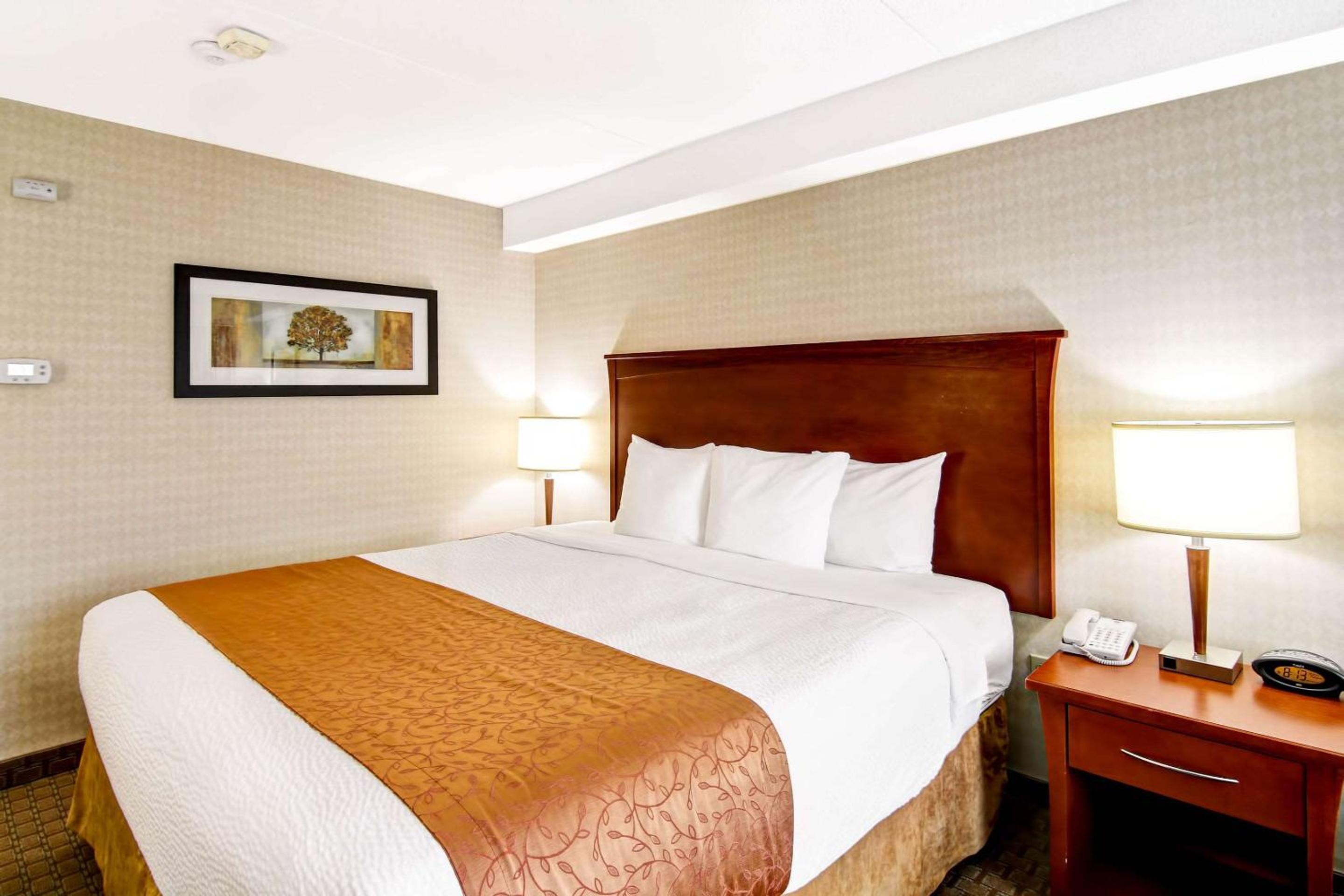 King Room - Non-Smoking - Photo 3