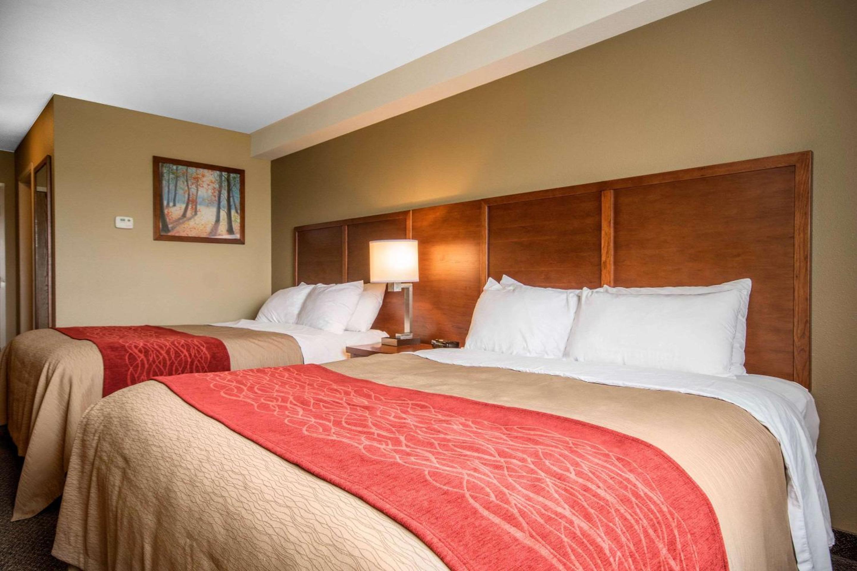 Queen Room with Two Queen Beds - Non-Smoking - Photo 1