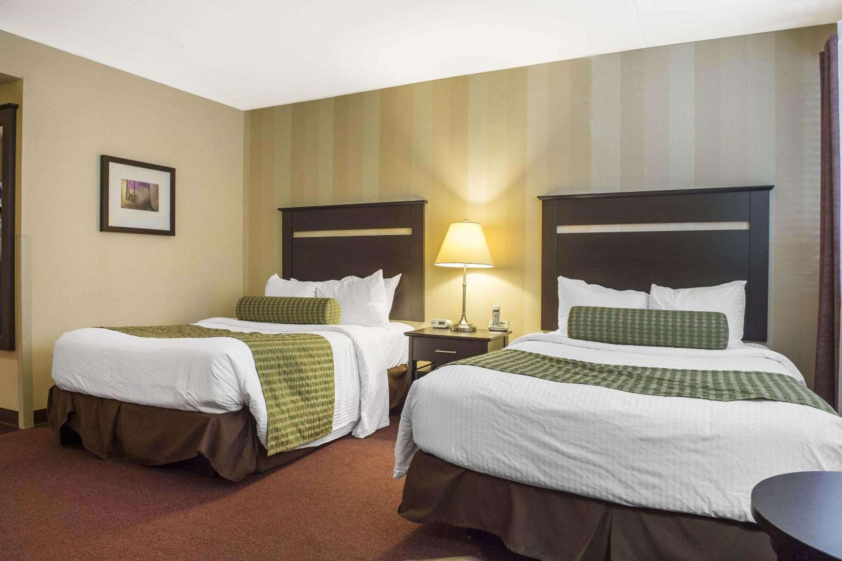Queen Room with Two Queen Beds - Non-Smoking - Photo 2