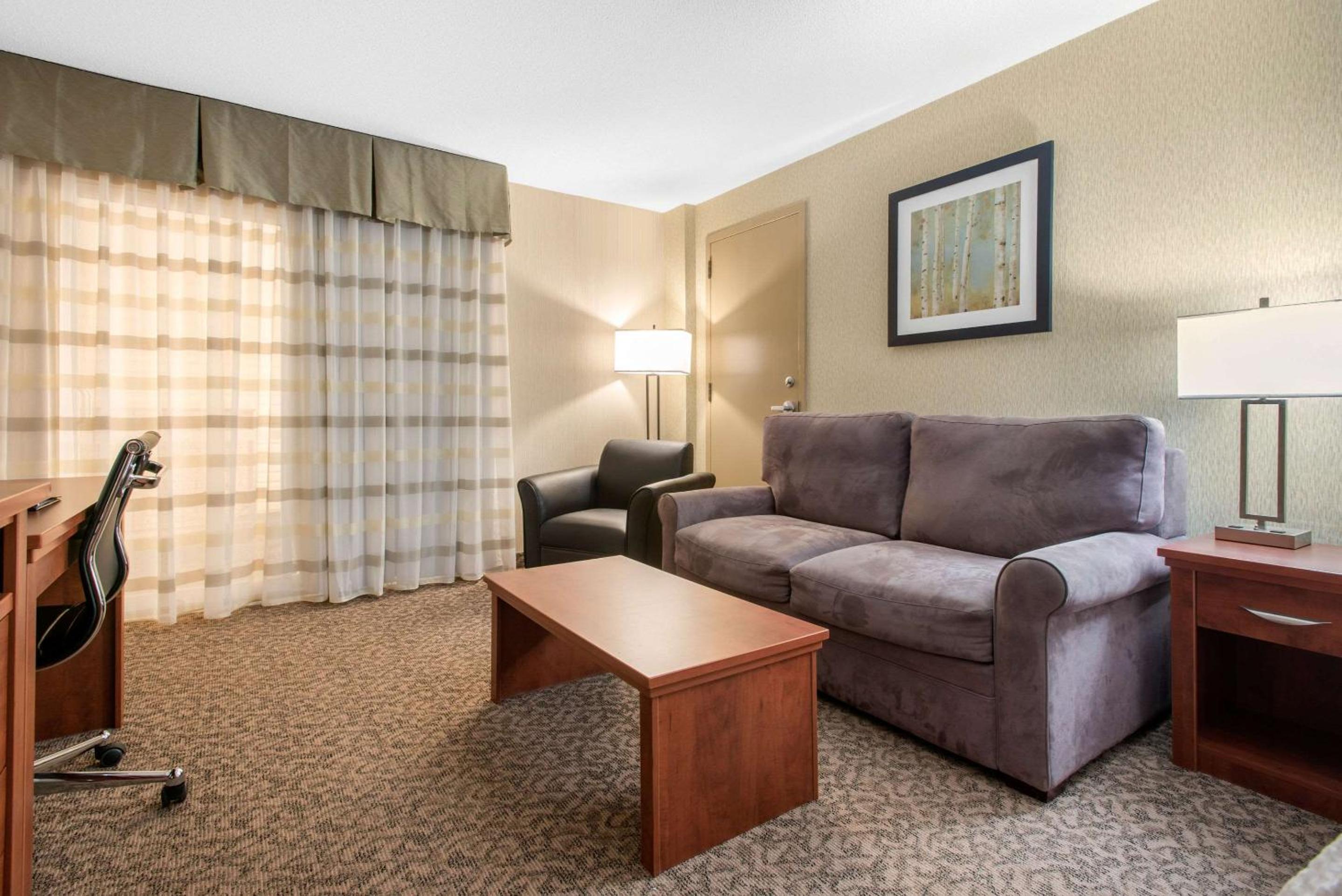 King Suite with Sofa Bed - Non-Smoking - Photo 1