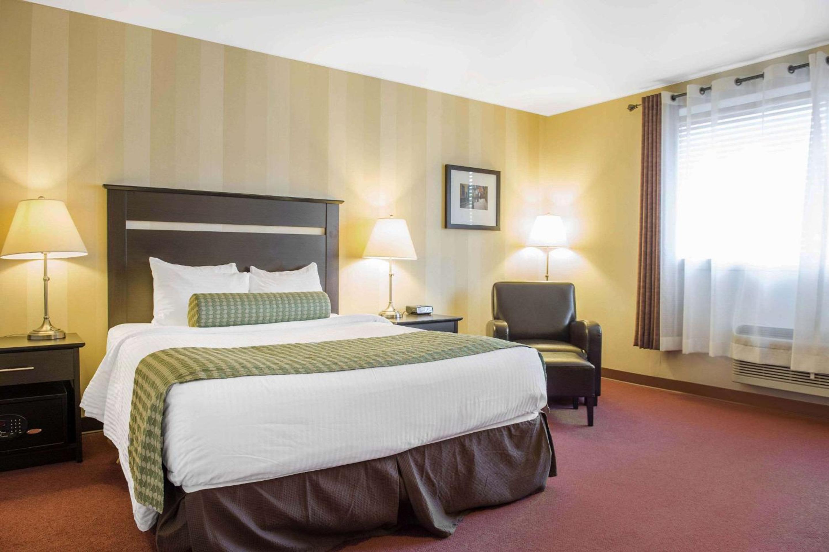 King Room - Non-Smoking - Photo 1