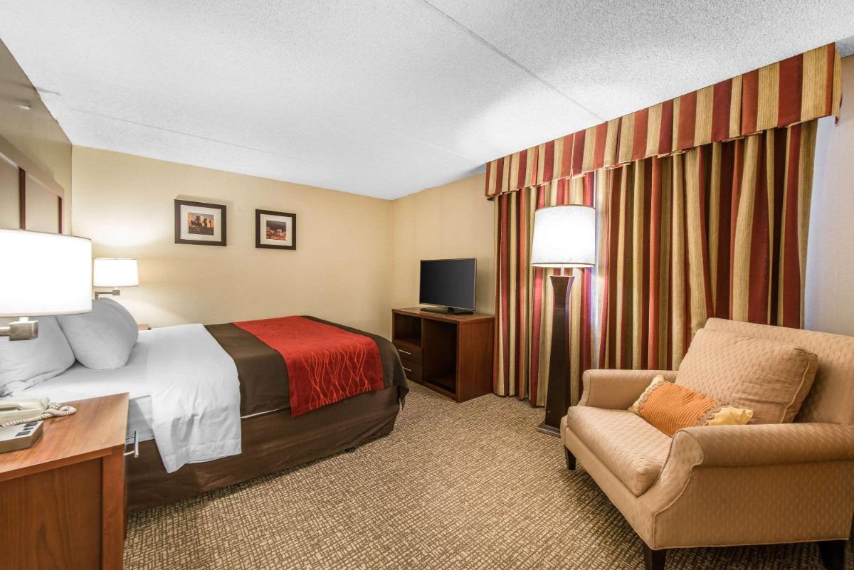 One-Bedroom King Suite with Sofa Bed - Non-Smoking